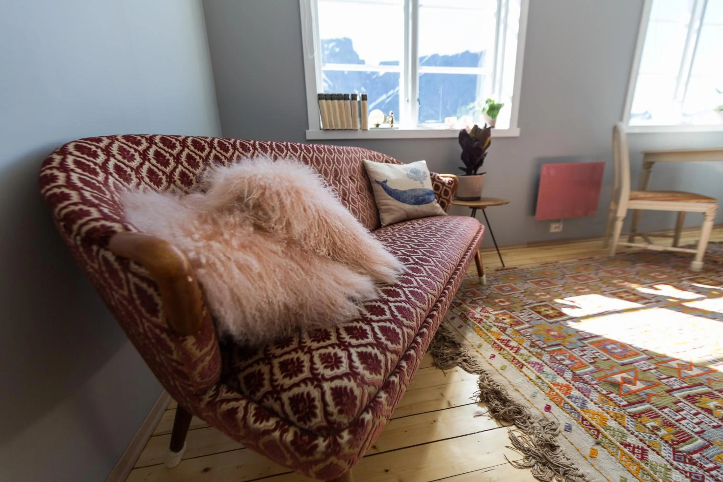 Catogården - Boutique Home & Activity Centre