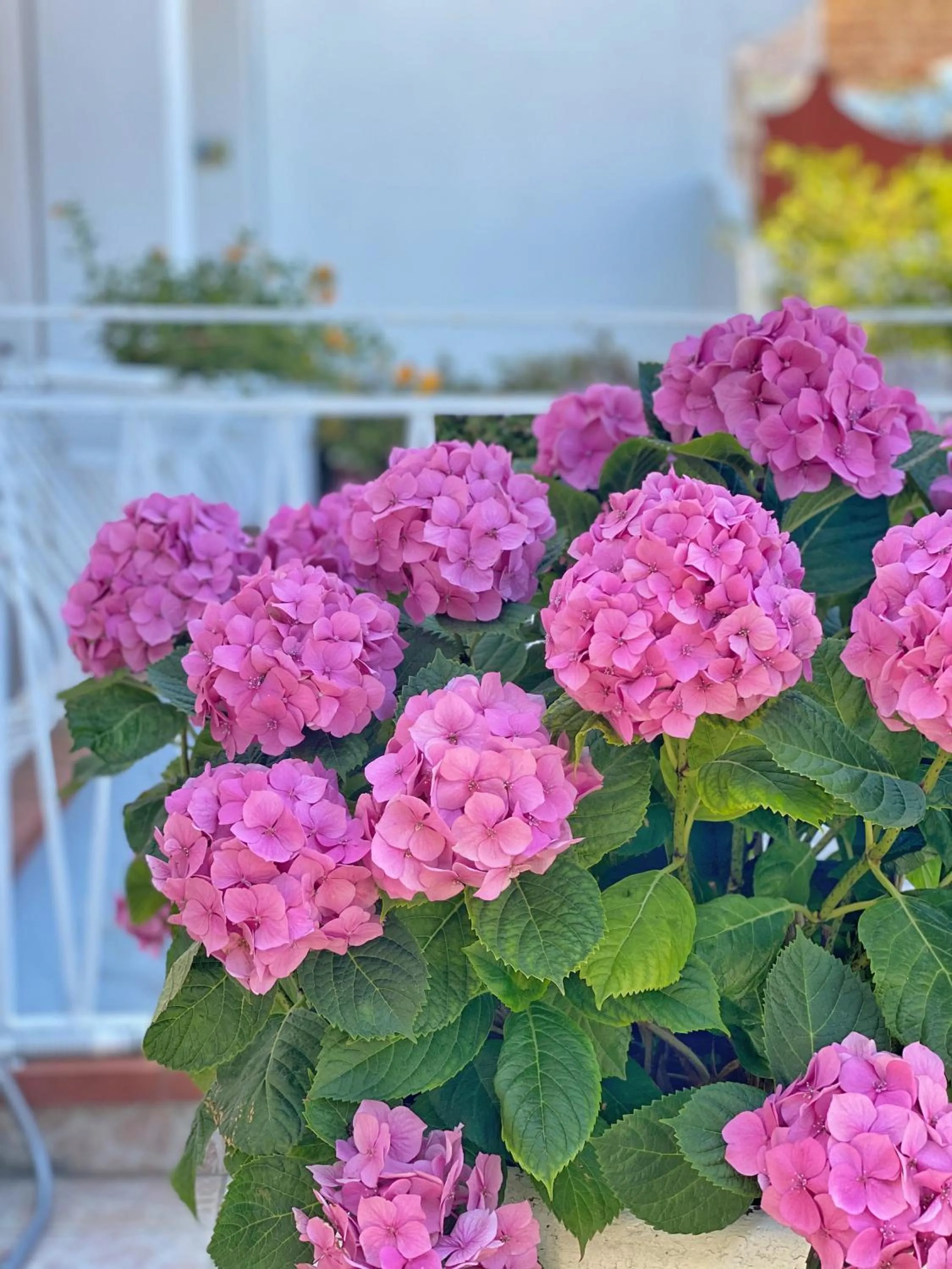 Natural landscape in La Giuliva Charming Rooms