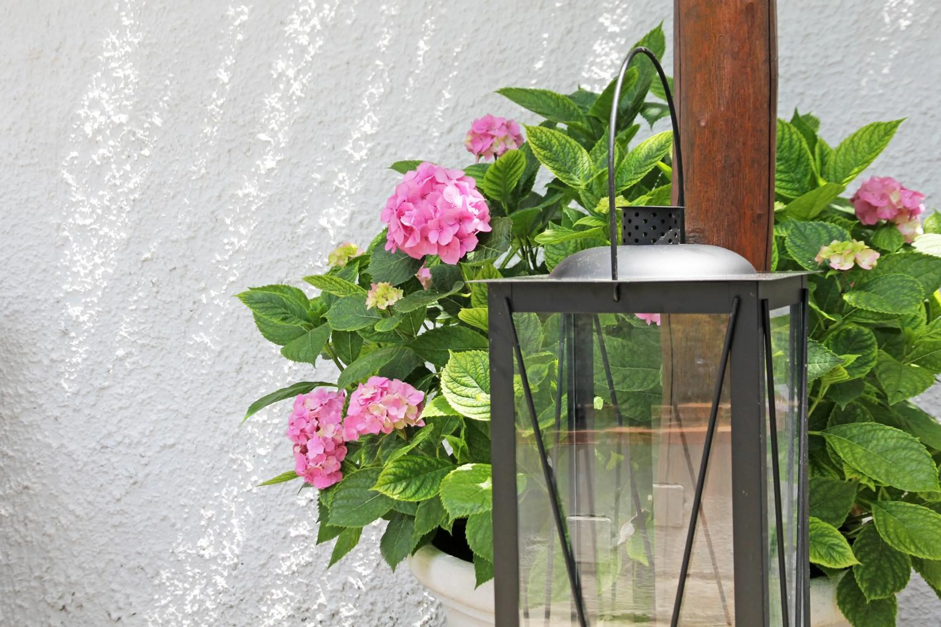 Decorative detail in La Giuliva Charming Rooms