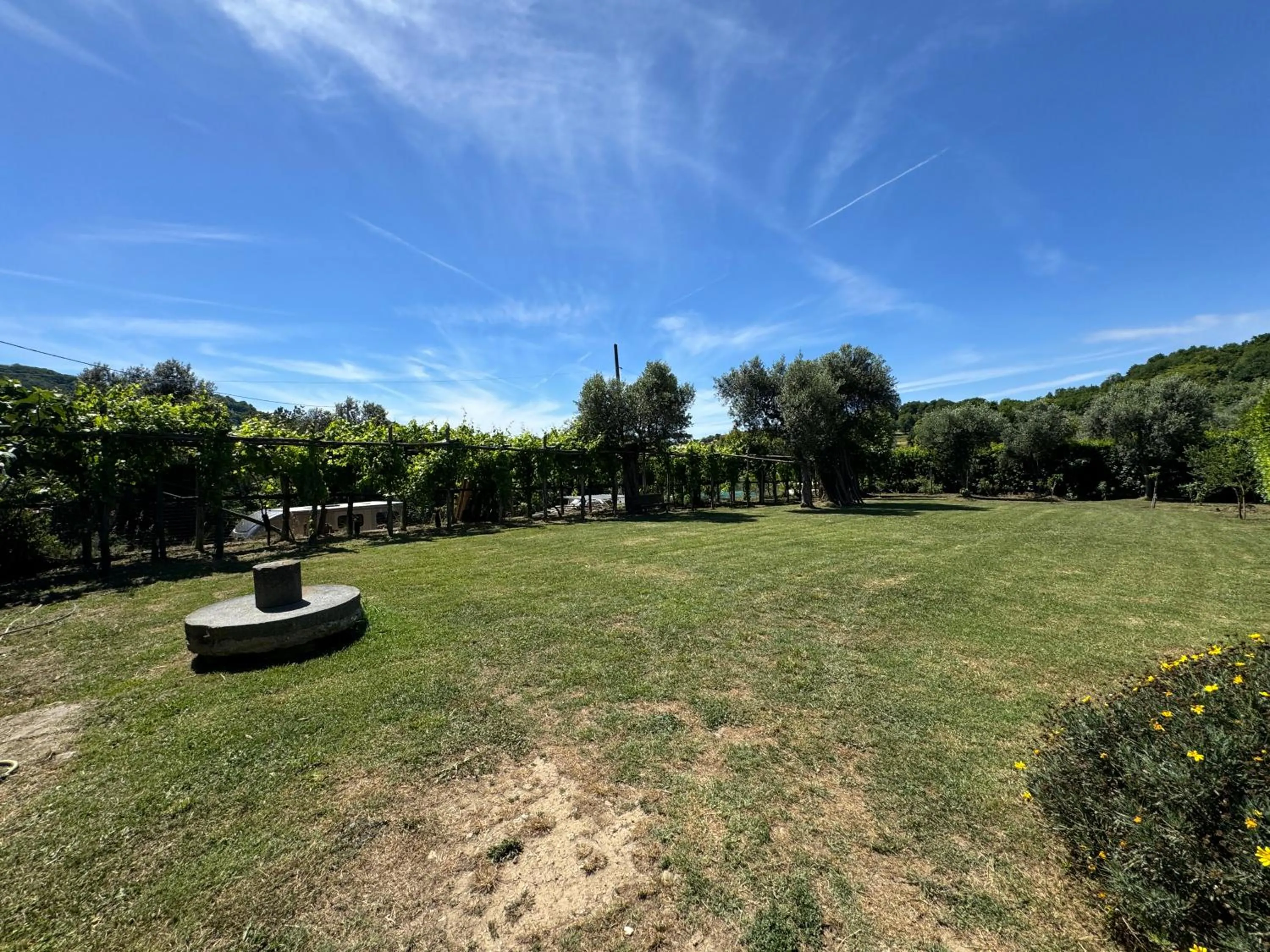 Garden view in Agriturismo Piccolo Paradiso