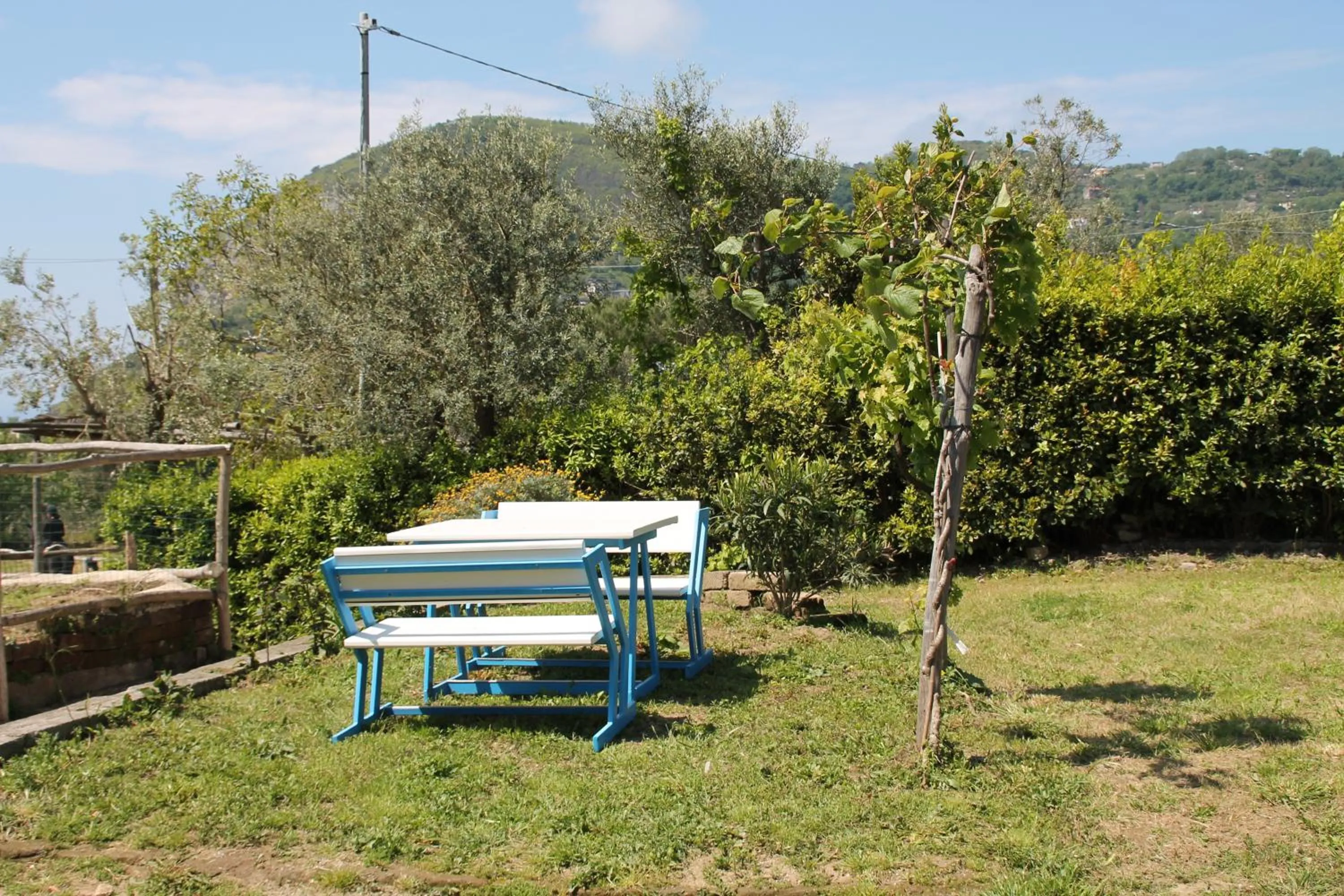 Garden in Agriturismo Piccolo Paradiso