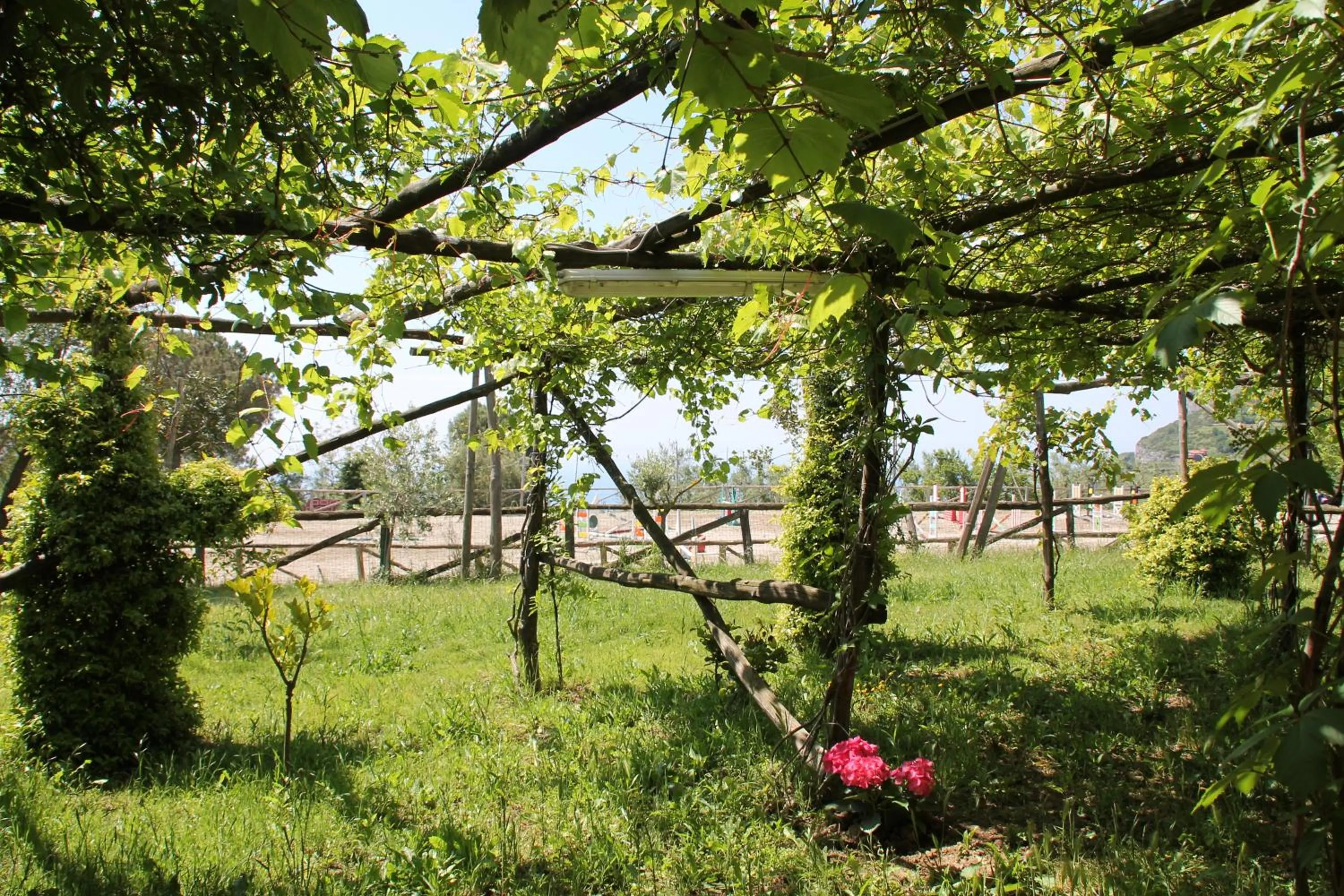 Garden in Agriturismo Piccolo Paradiso