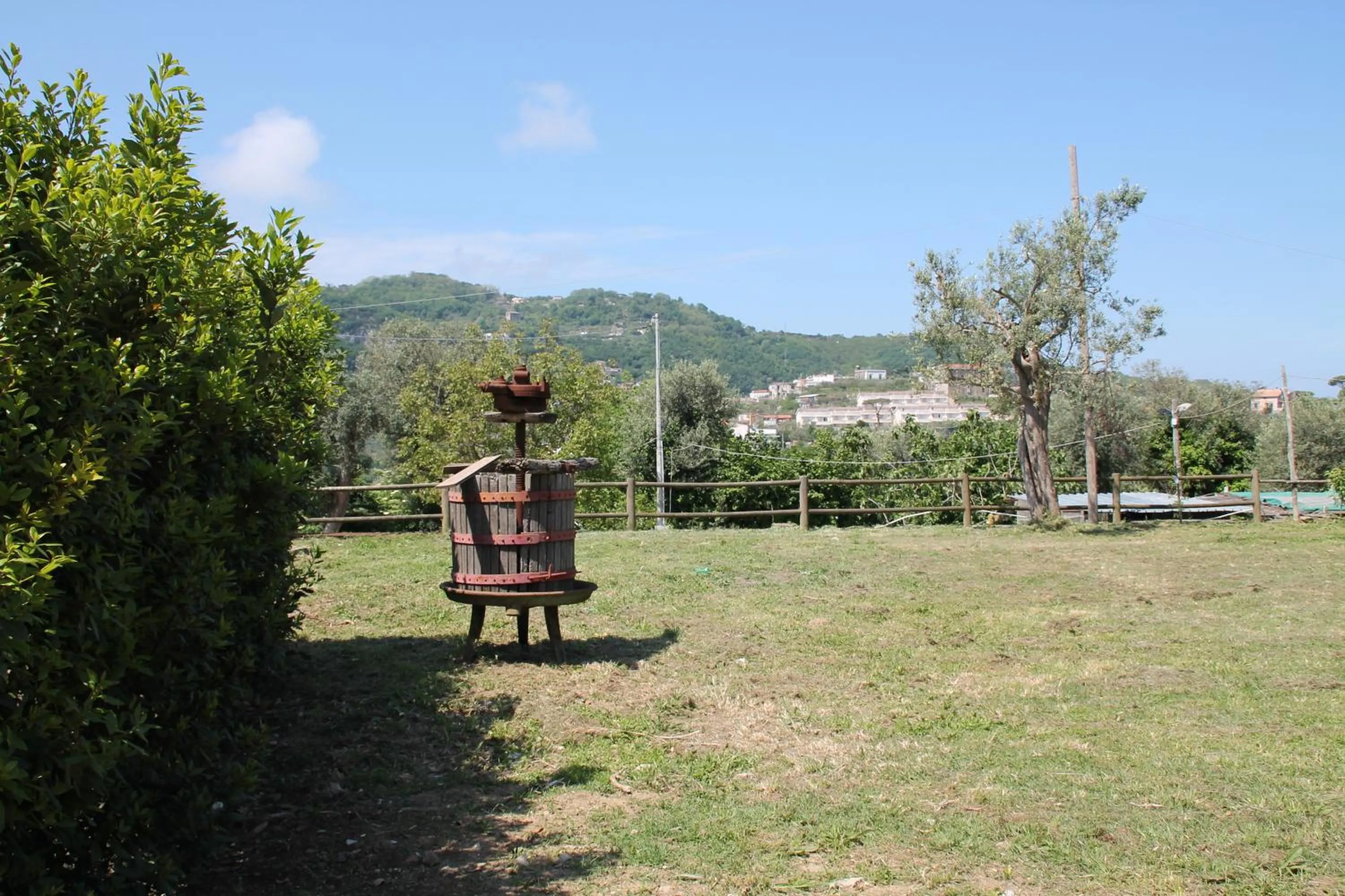 View (from property/room) in Agriturismo Piccolo Paradiso
