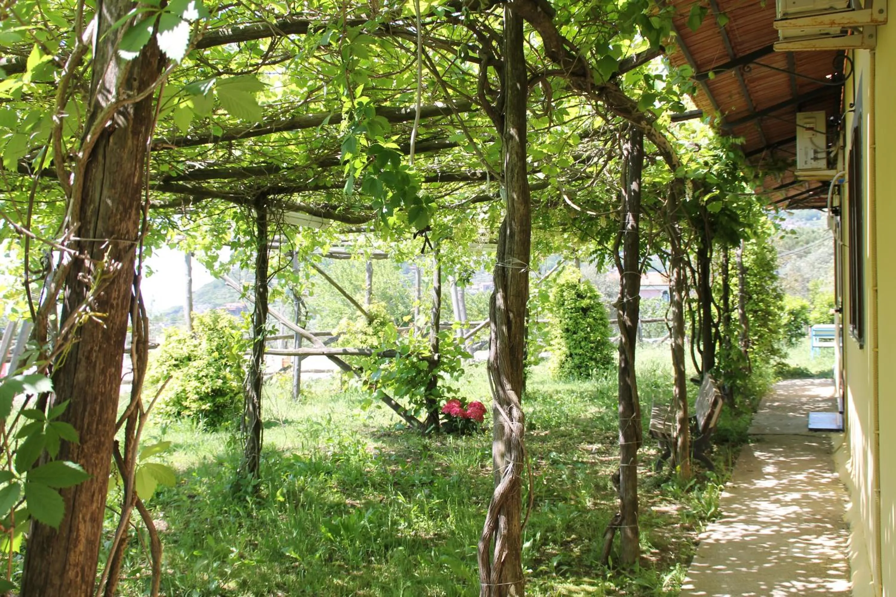 Garden in Agriturismo Piccolo Paradiso