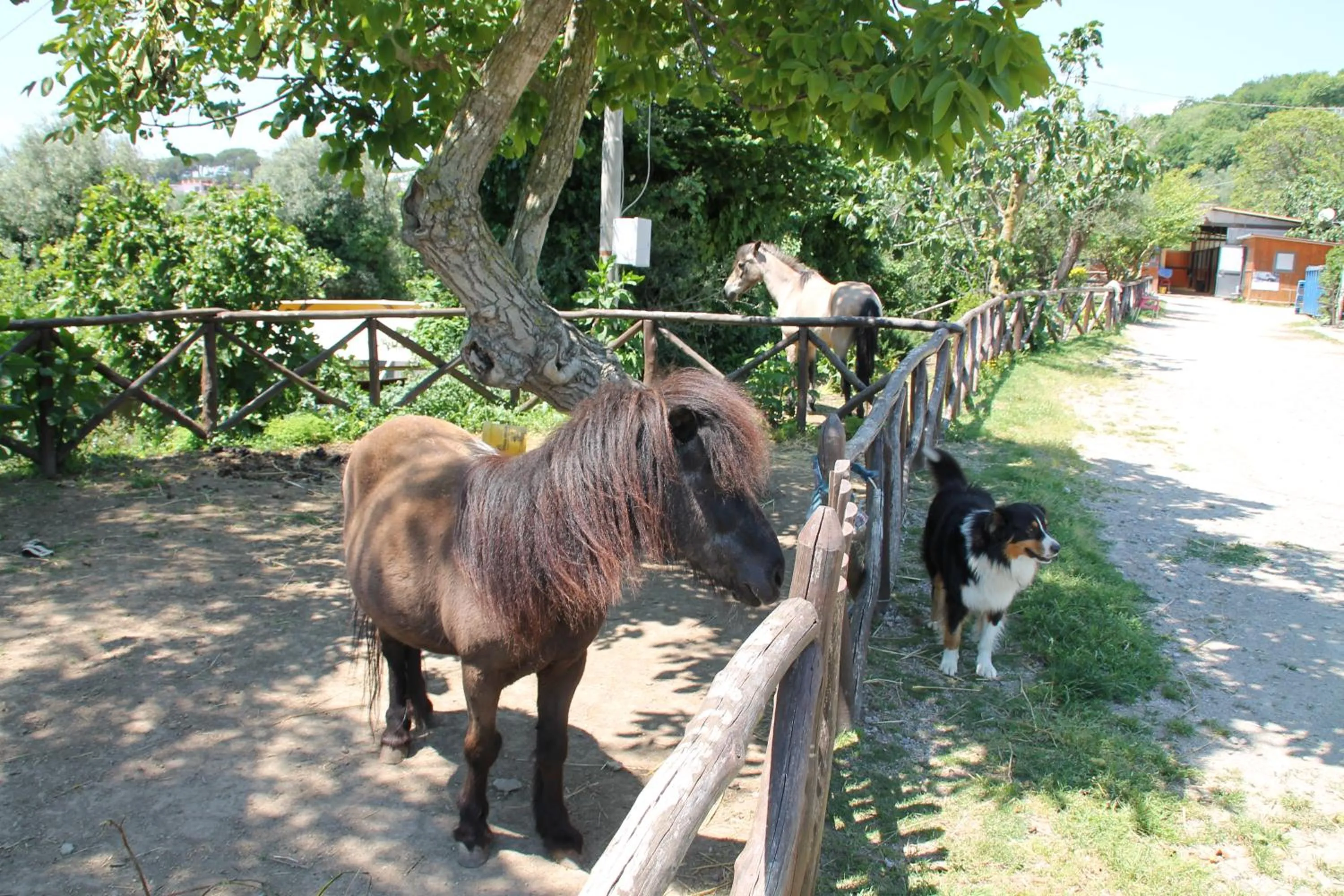 Day in Agriturismo Piccolo Paradiso
