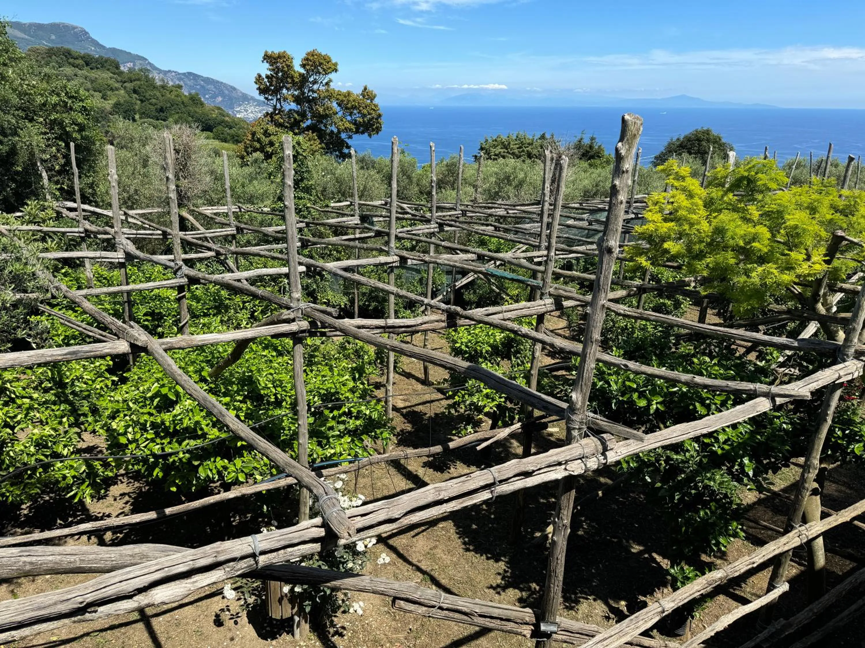 Agriturismo Piccolo Paradiso