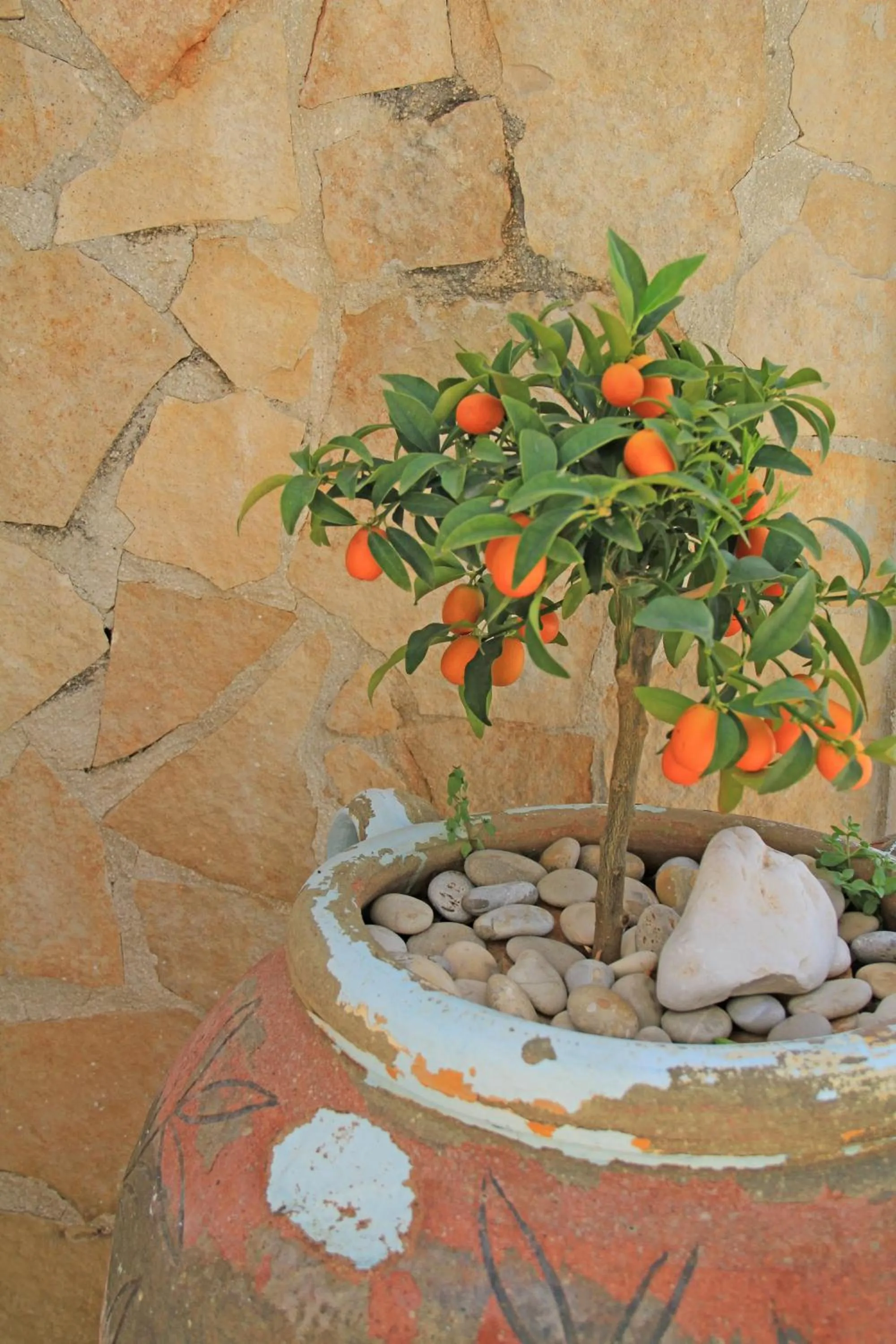 Decorative detail in Centro Vacanze Piccolo Friuli