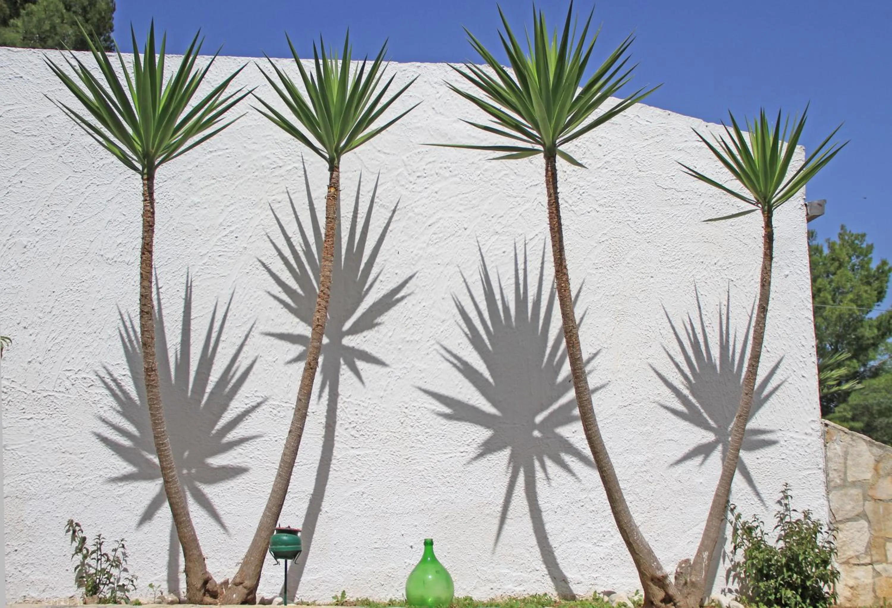 Decorative detail in Centro Vacanze Piccolo Friuli