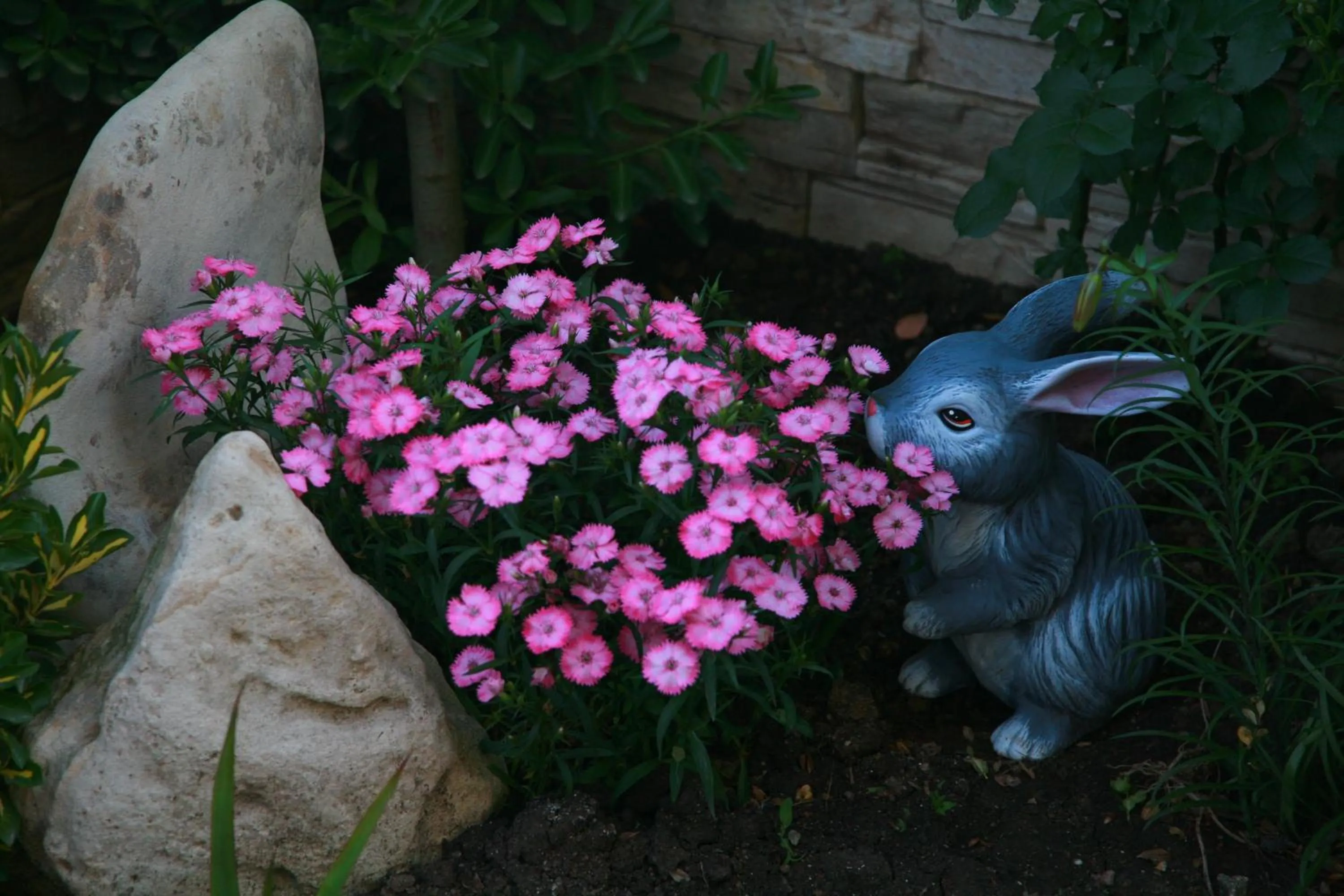 Garden in Hotel Luxor