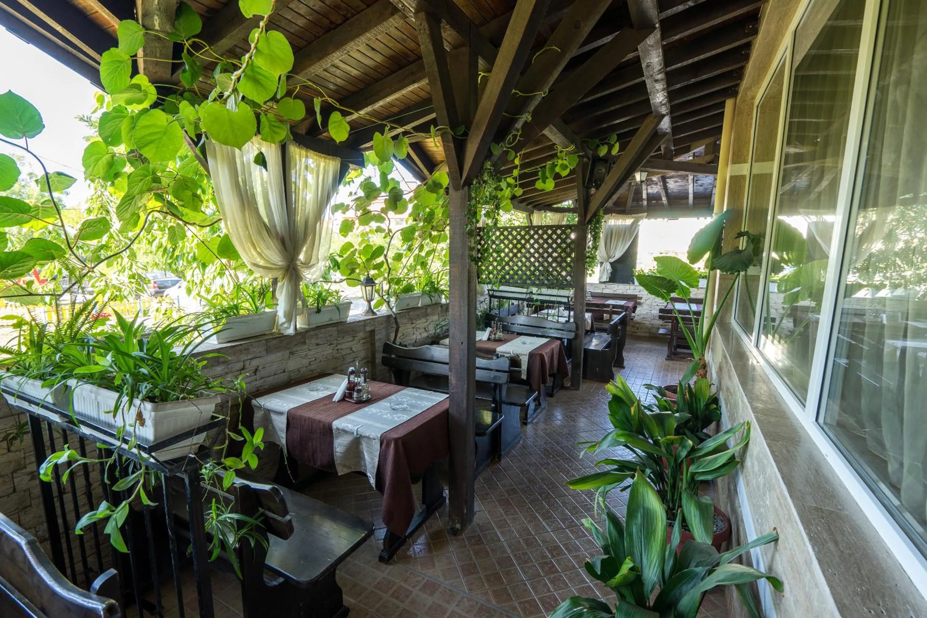 Restaurant/places to eat in Hotel Luxor