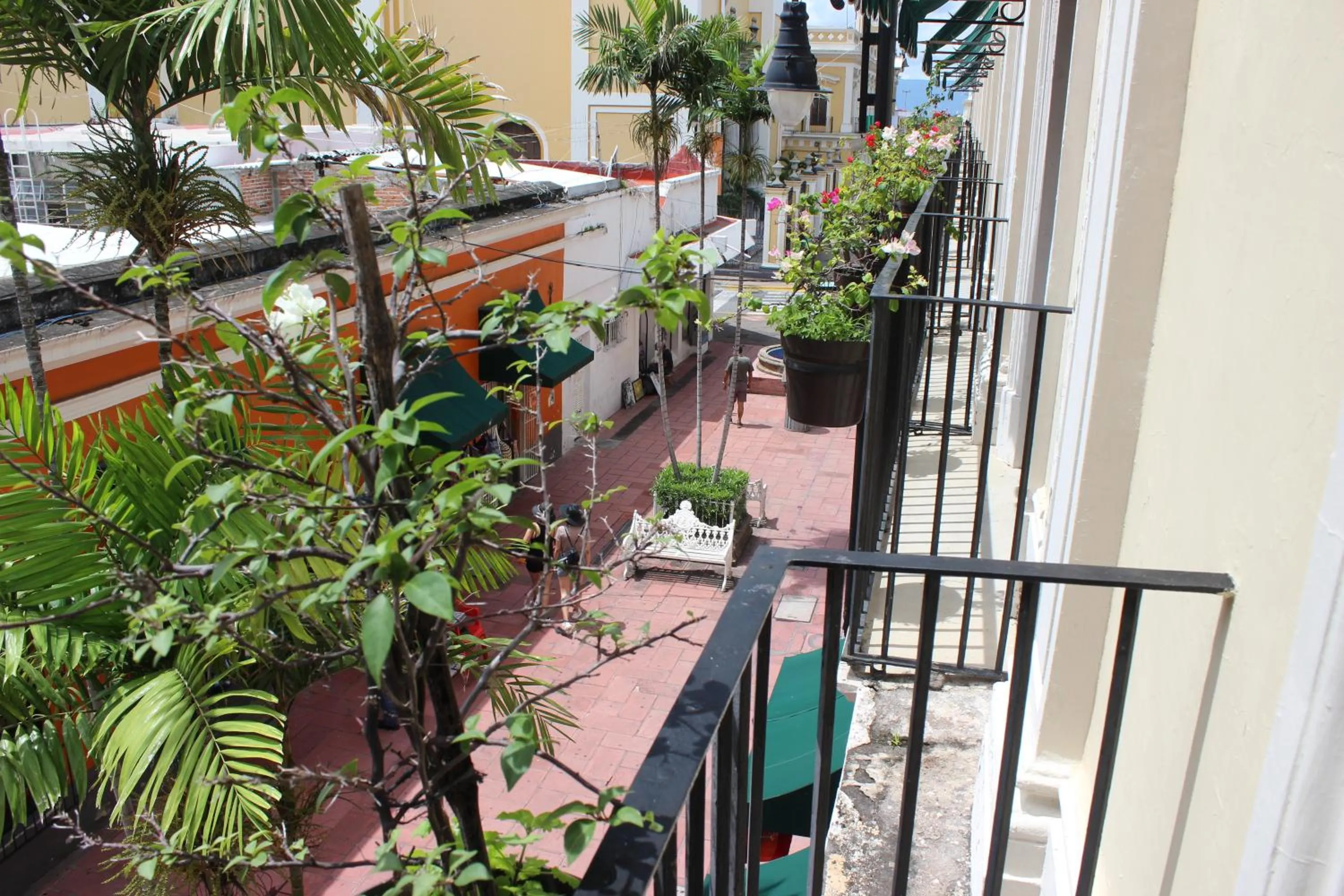 Street view in Hotel Concierge Plaza Colima