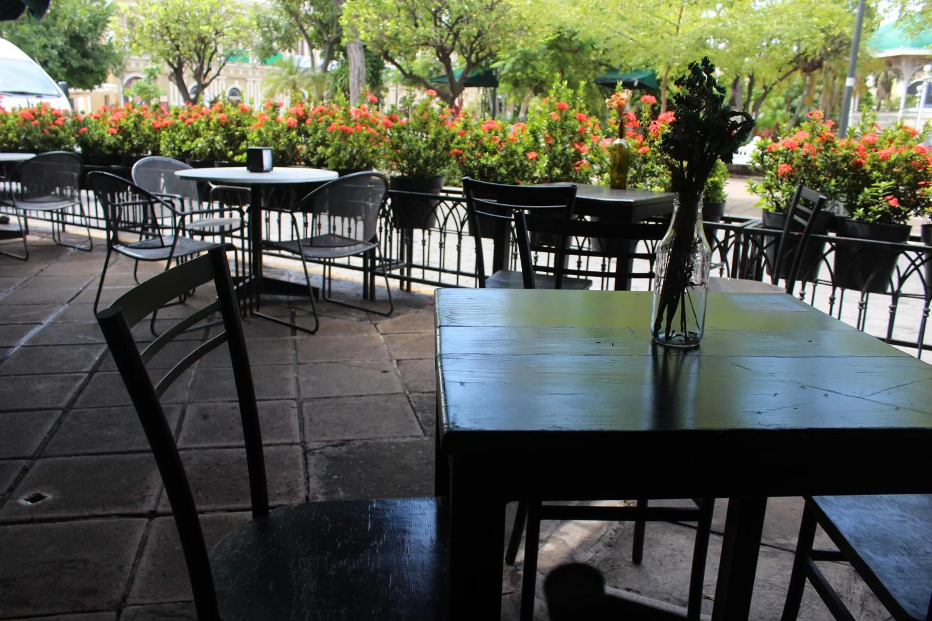Restaurant/places to eat in Hotel Concierge Plaza Colima