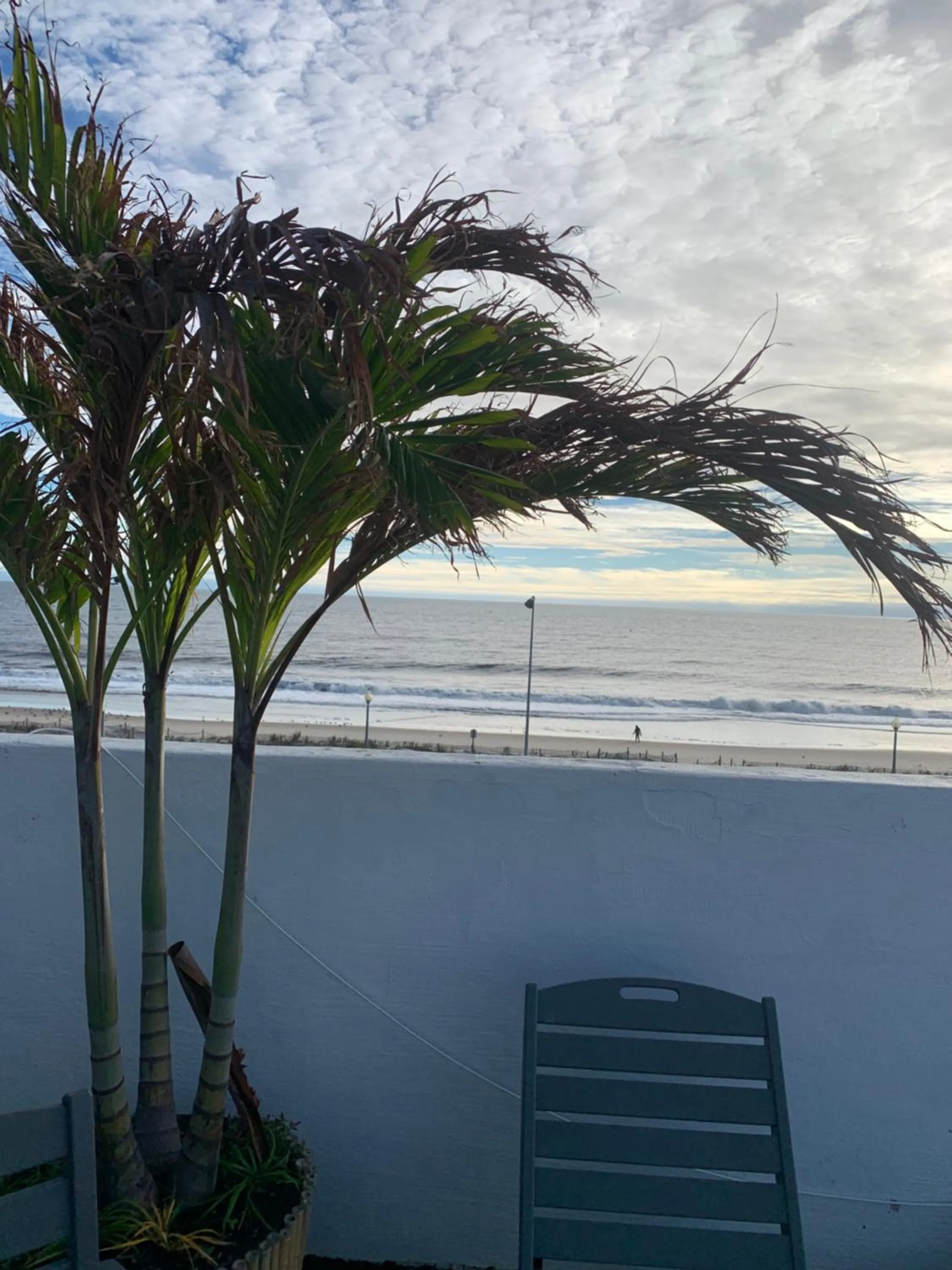 Sea view in Admiral on Baltimore