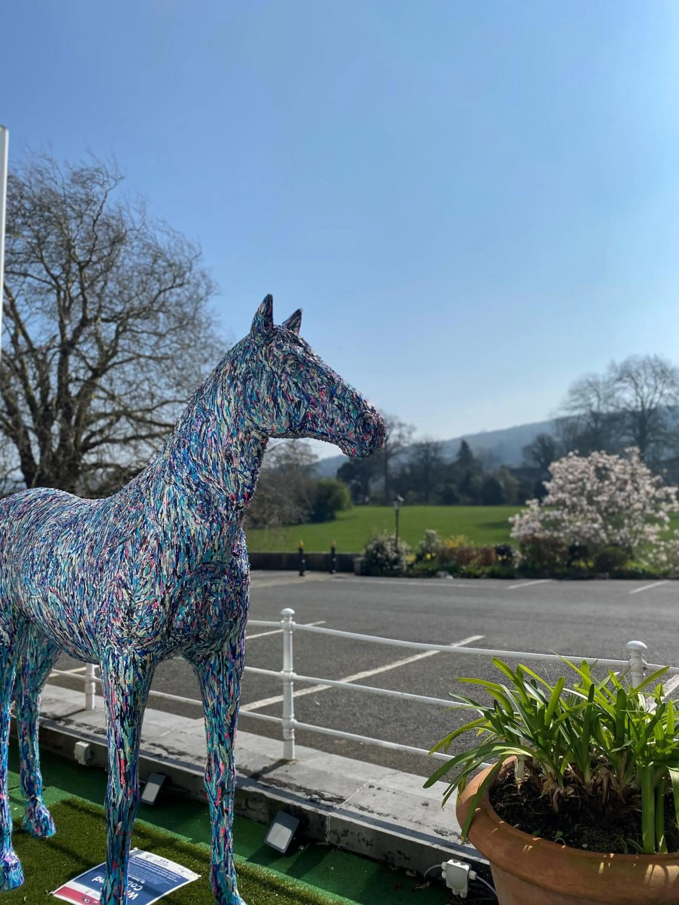 Garden in Hotel Minella & Leisure Centre