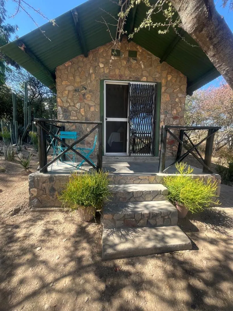 Sasa Safari Camp & Tours