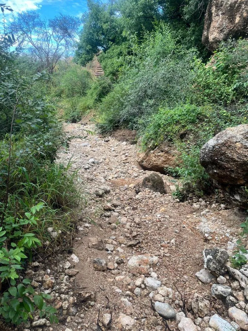 Sasa Safari Camp & Tours