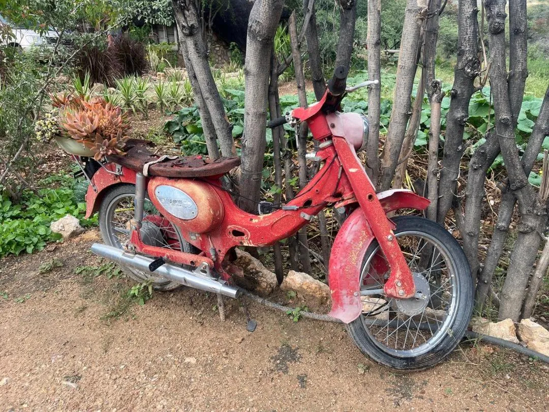 Sasa Safari Camp & Tours