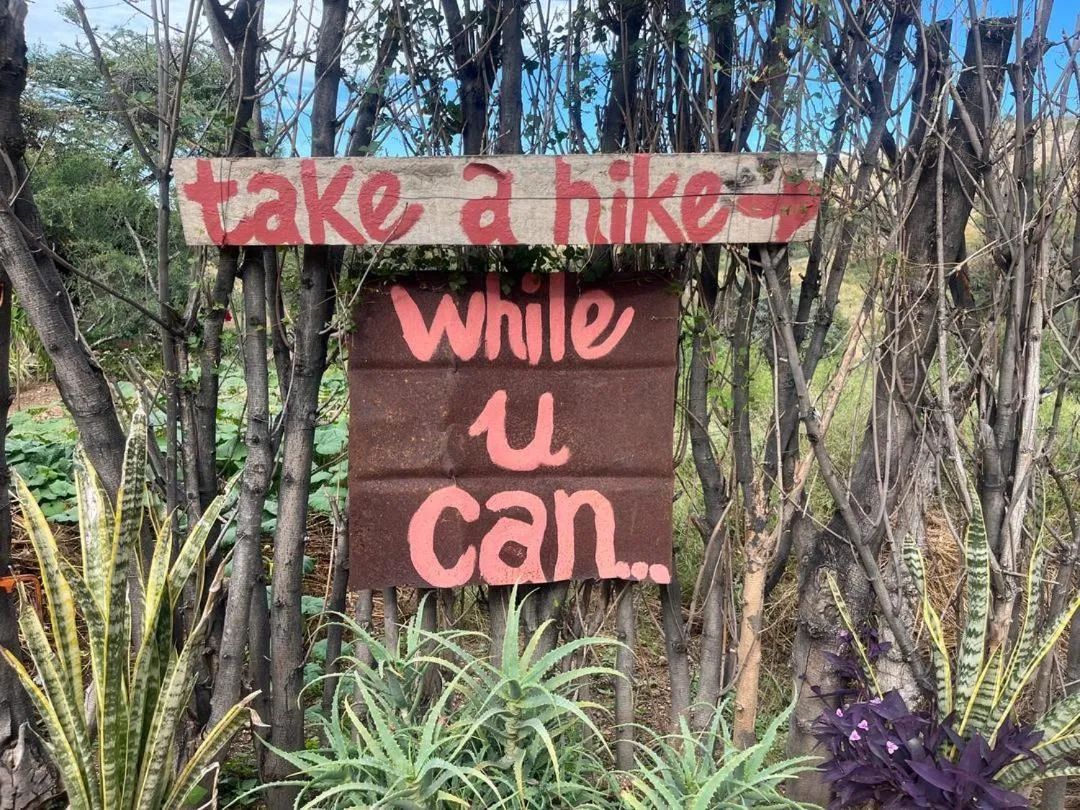 Sasa Safari Camp & Tours