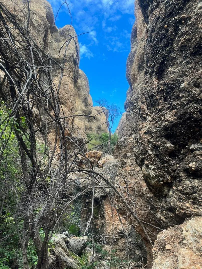 Sasa Safari Camp & Tours