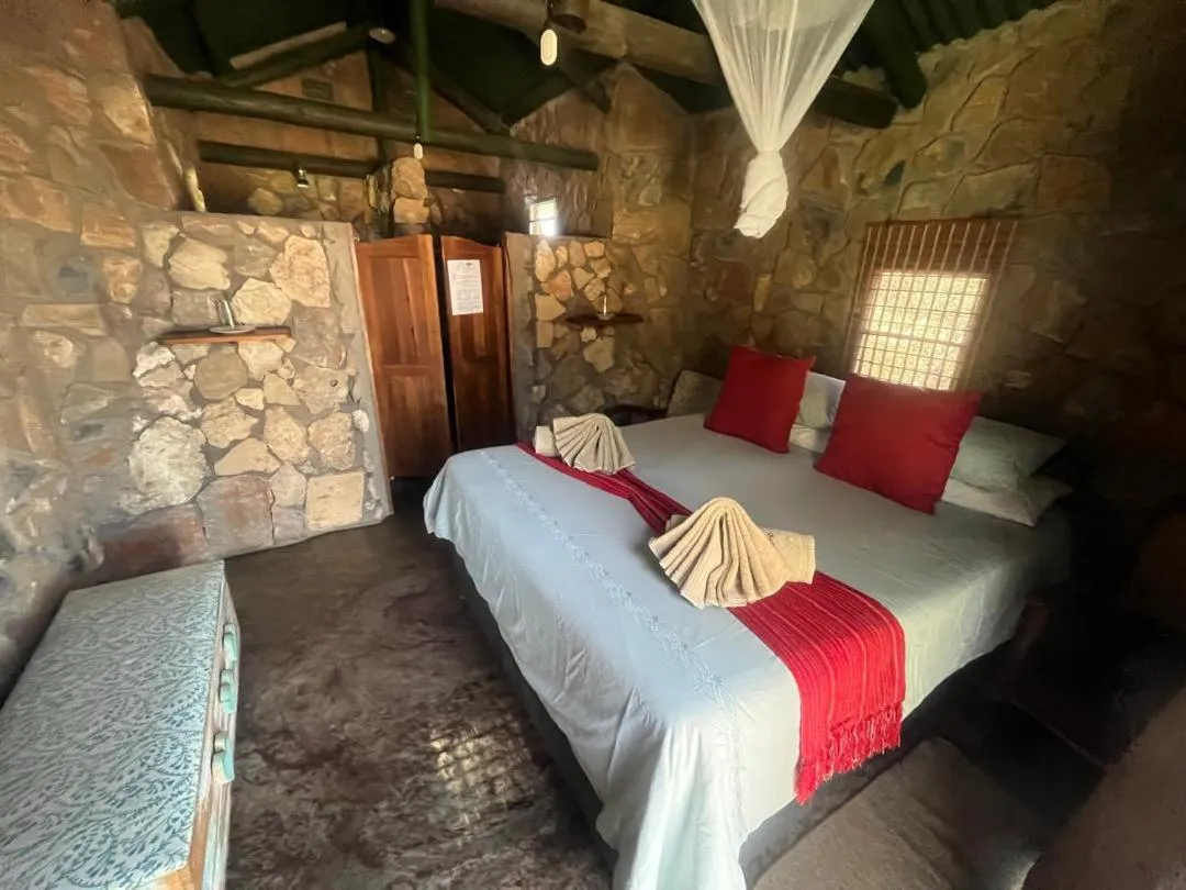 Bed in Sasa Safari Camp & Tours