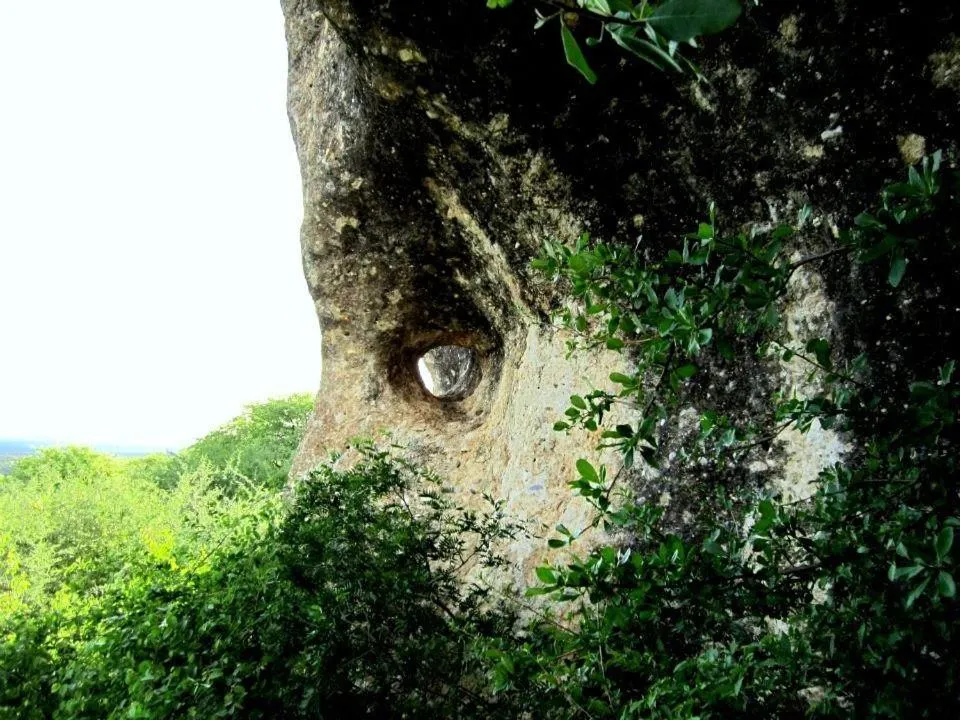 Other in Sasa Safari Camp & Tours