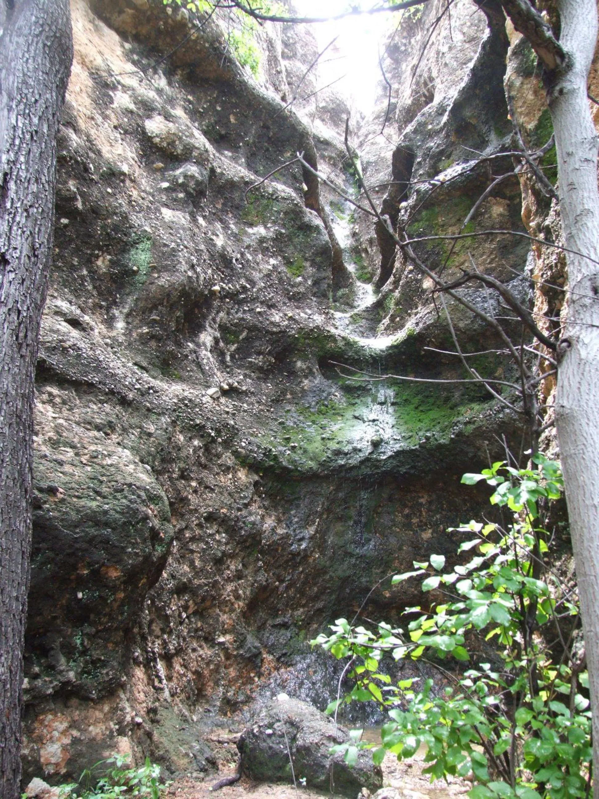 Other in Sasa Safari Camp & Tours