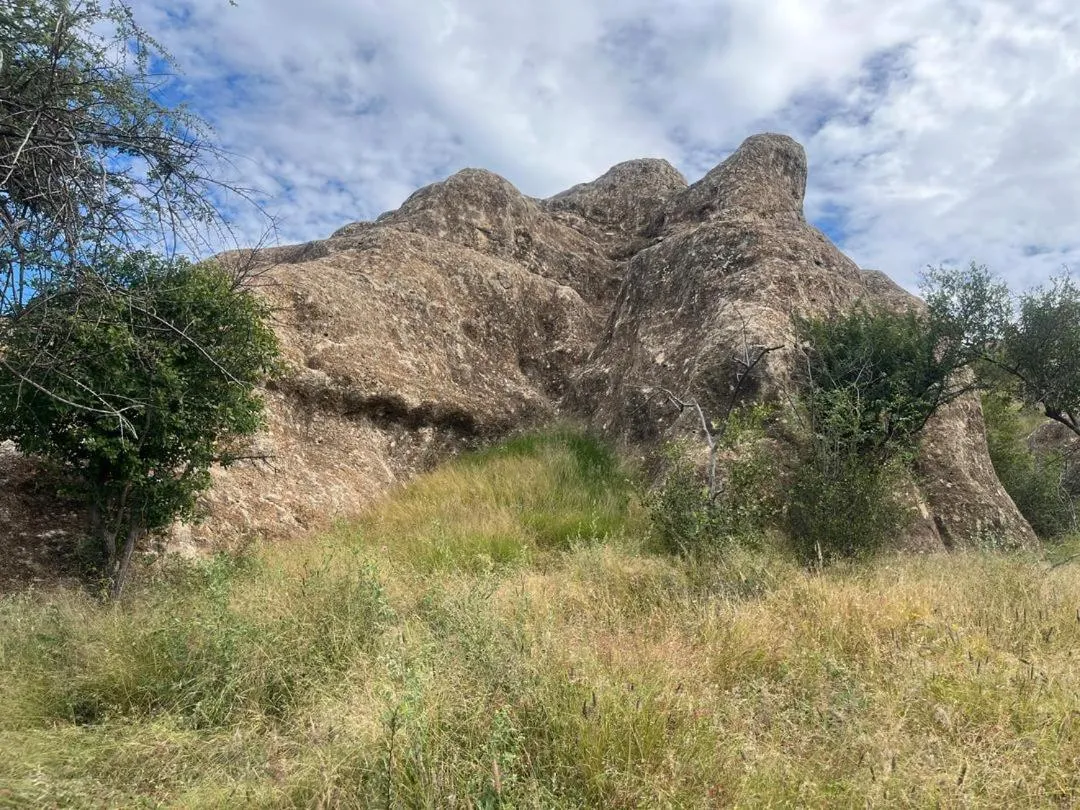 Sasa Safari Camp & Tours