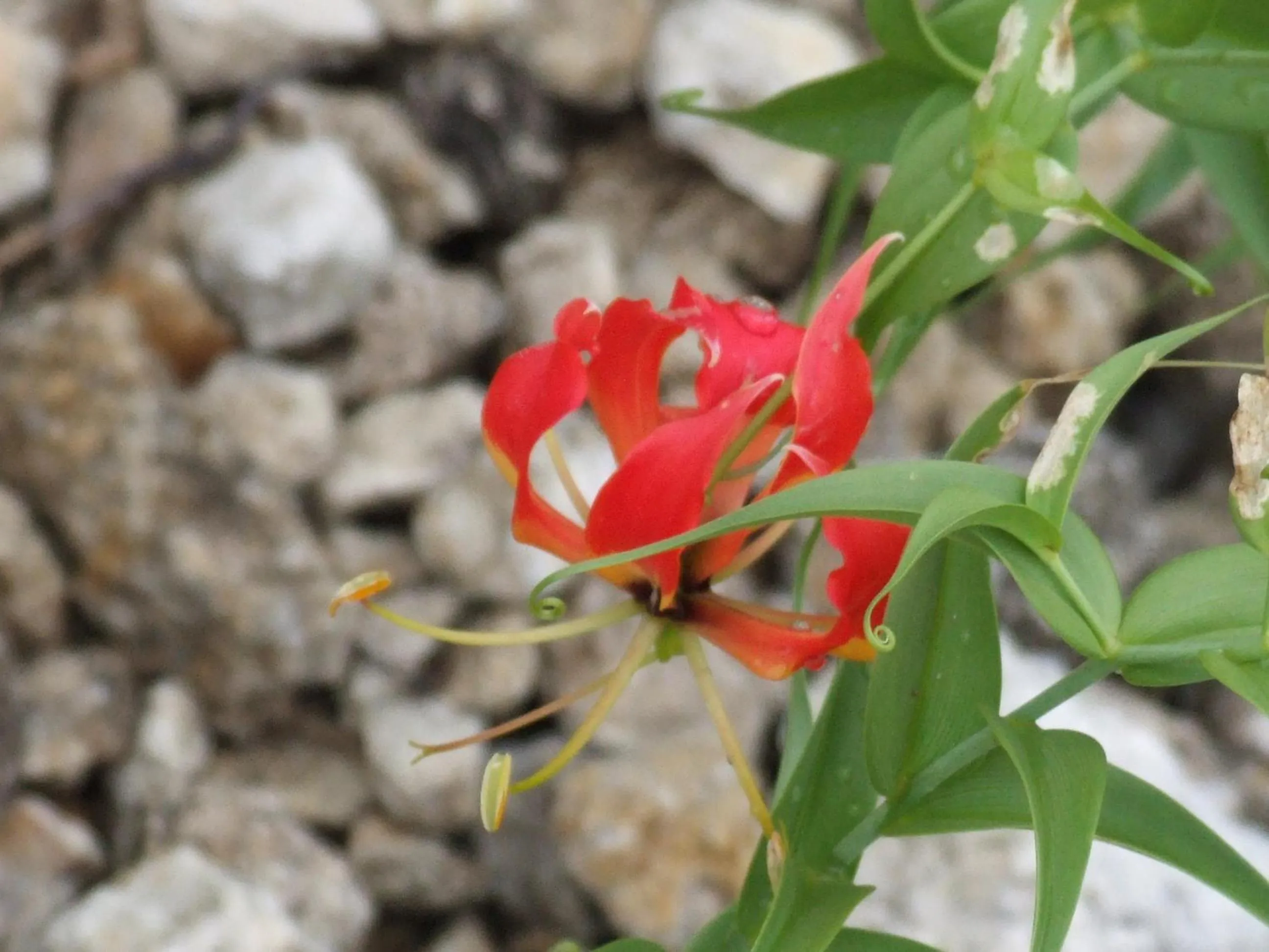 Other in Sasa Safari Camp & Tours