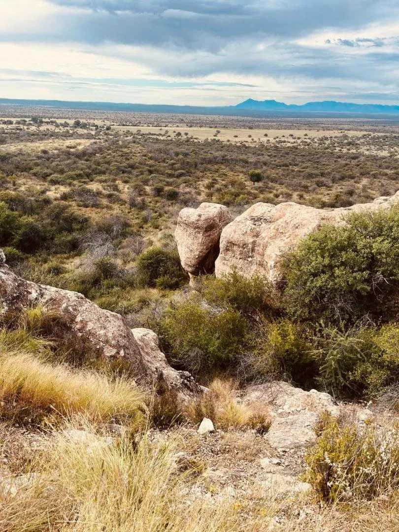 Sasa Safari Camp & Tours