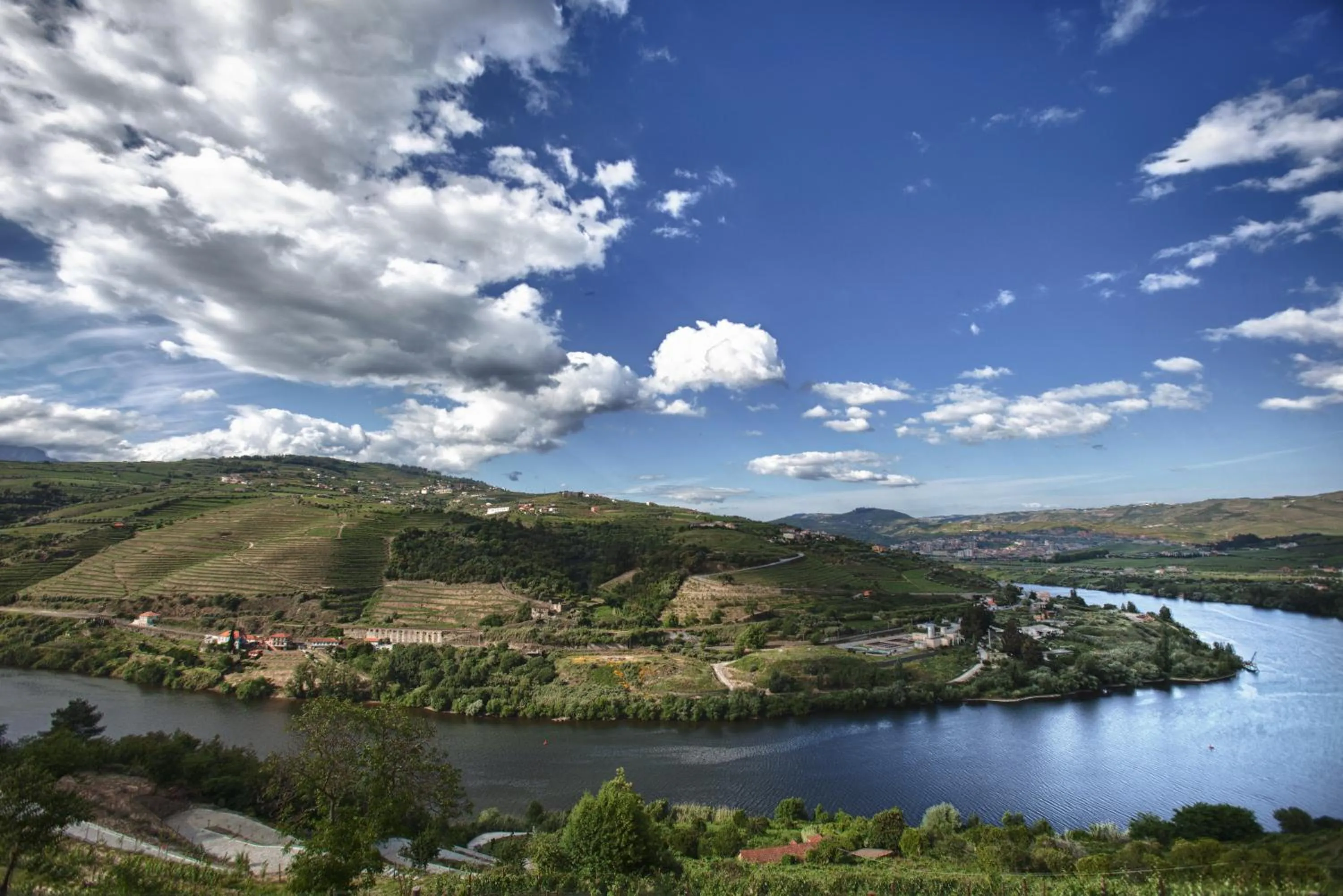 Bird's eye view in Delfim Douro Hotel