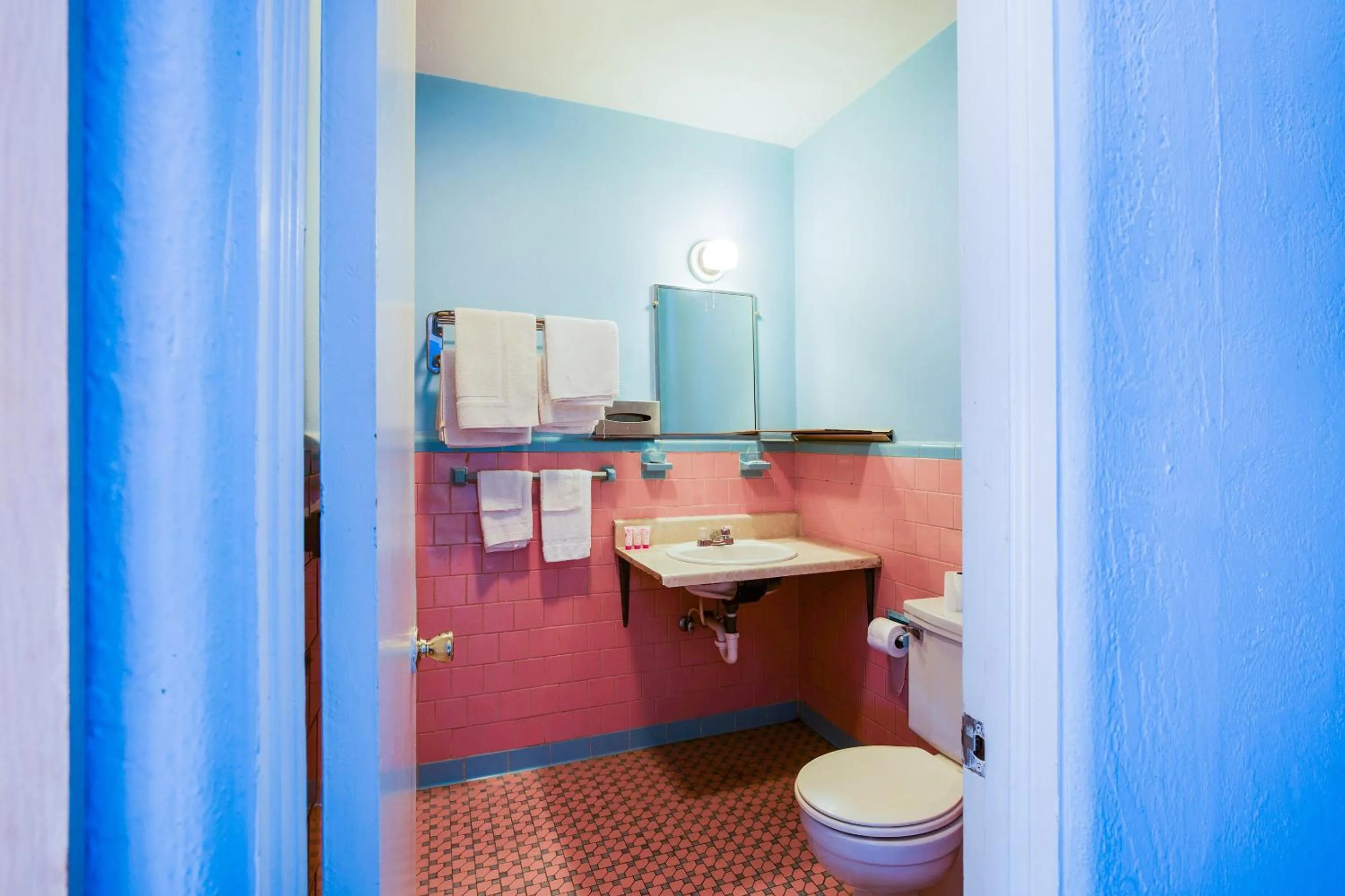 Bathroom in BlueJay Motel - Salem - Roanoke I-81