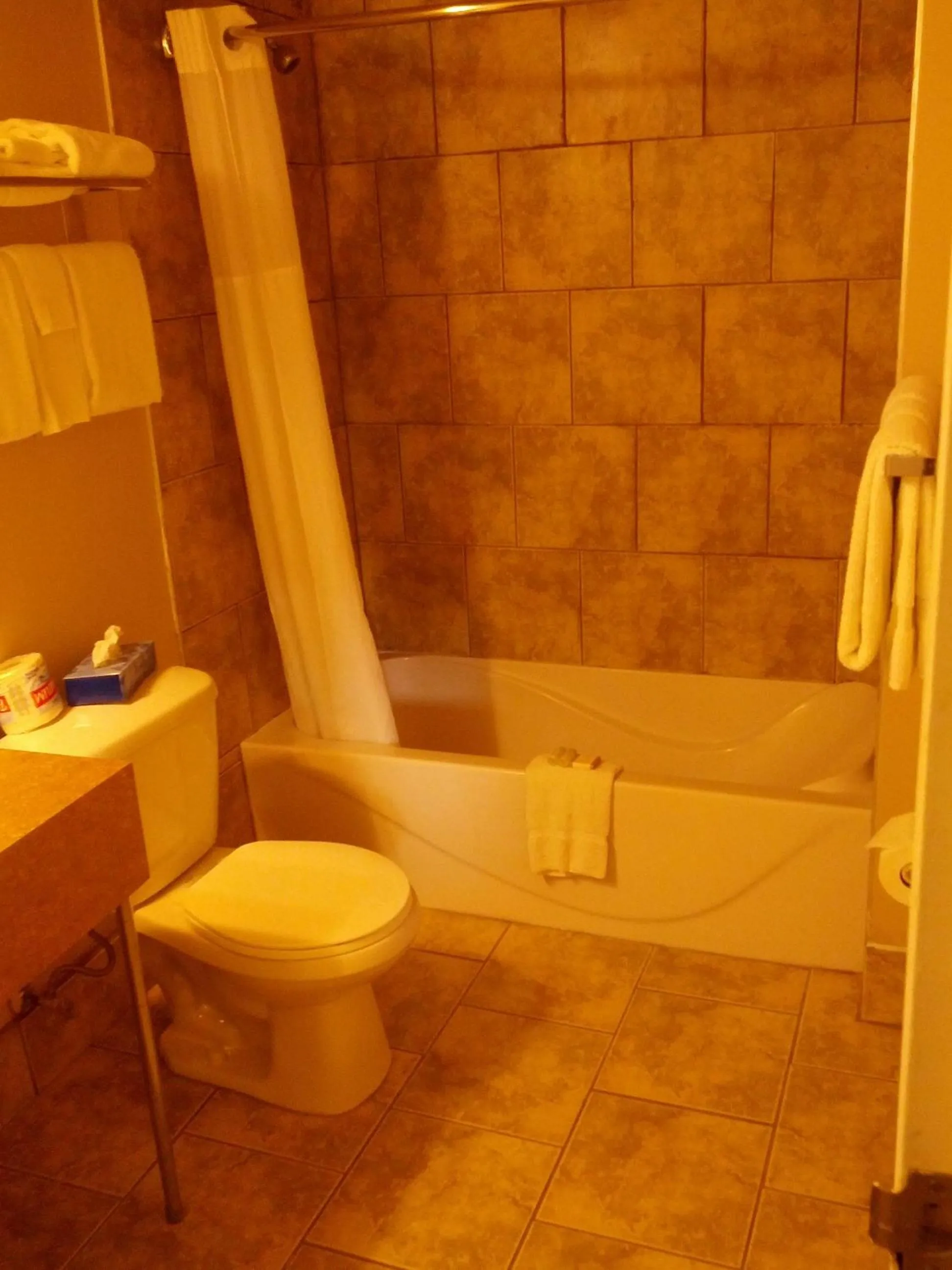 Toilet in Travelodge by Wyndham Swift Current