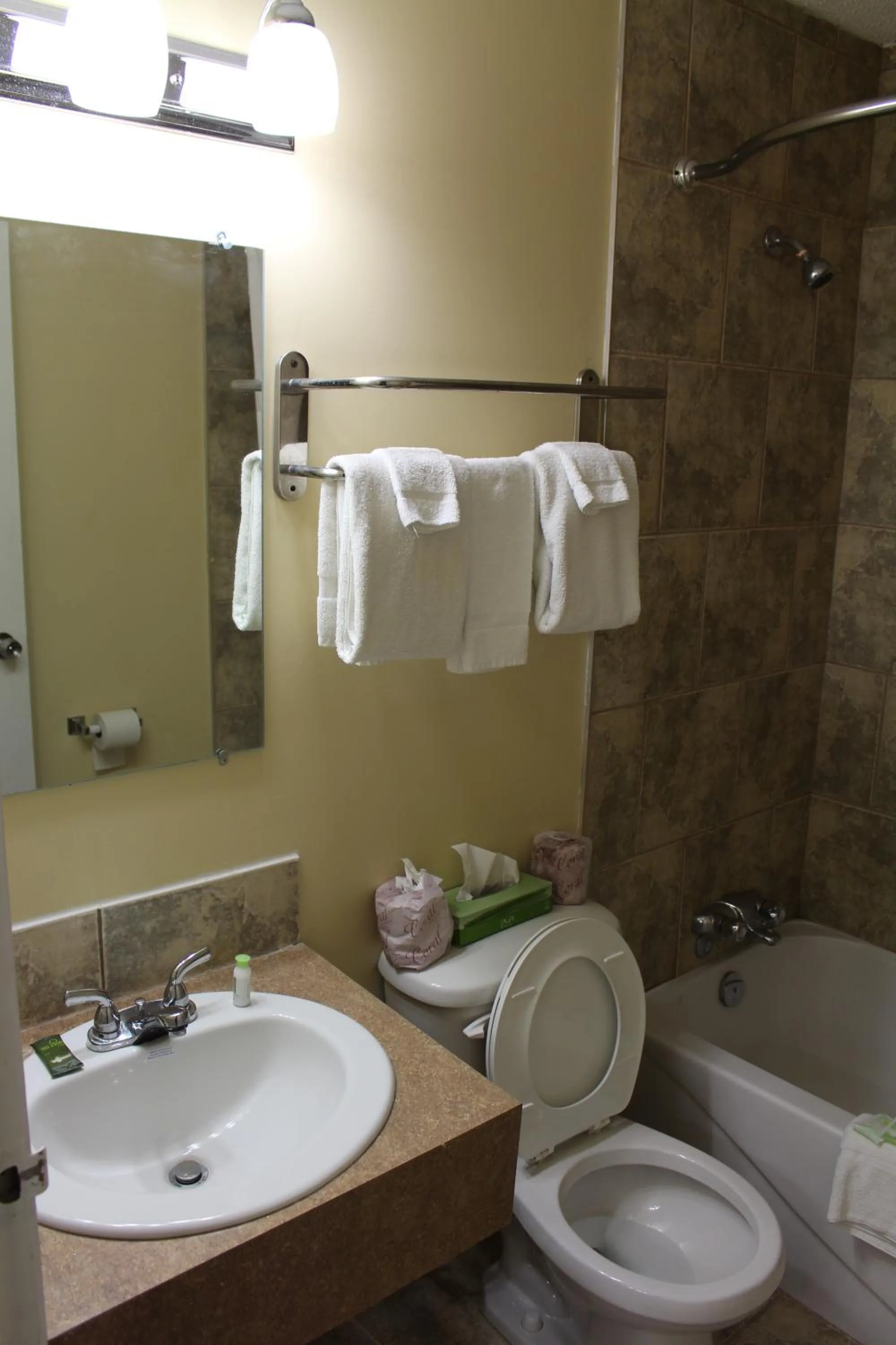 Bathroom in Travelodge by Wyndham Swift Current