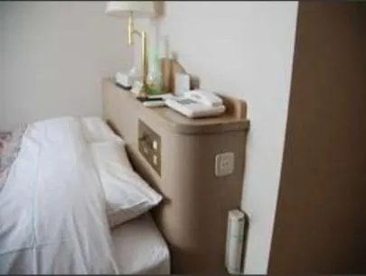 Decorative detail in Albert Hotel Akita