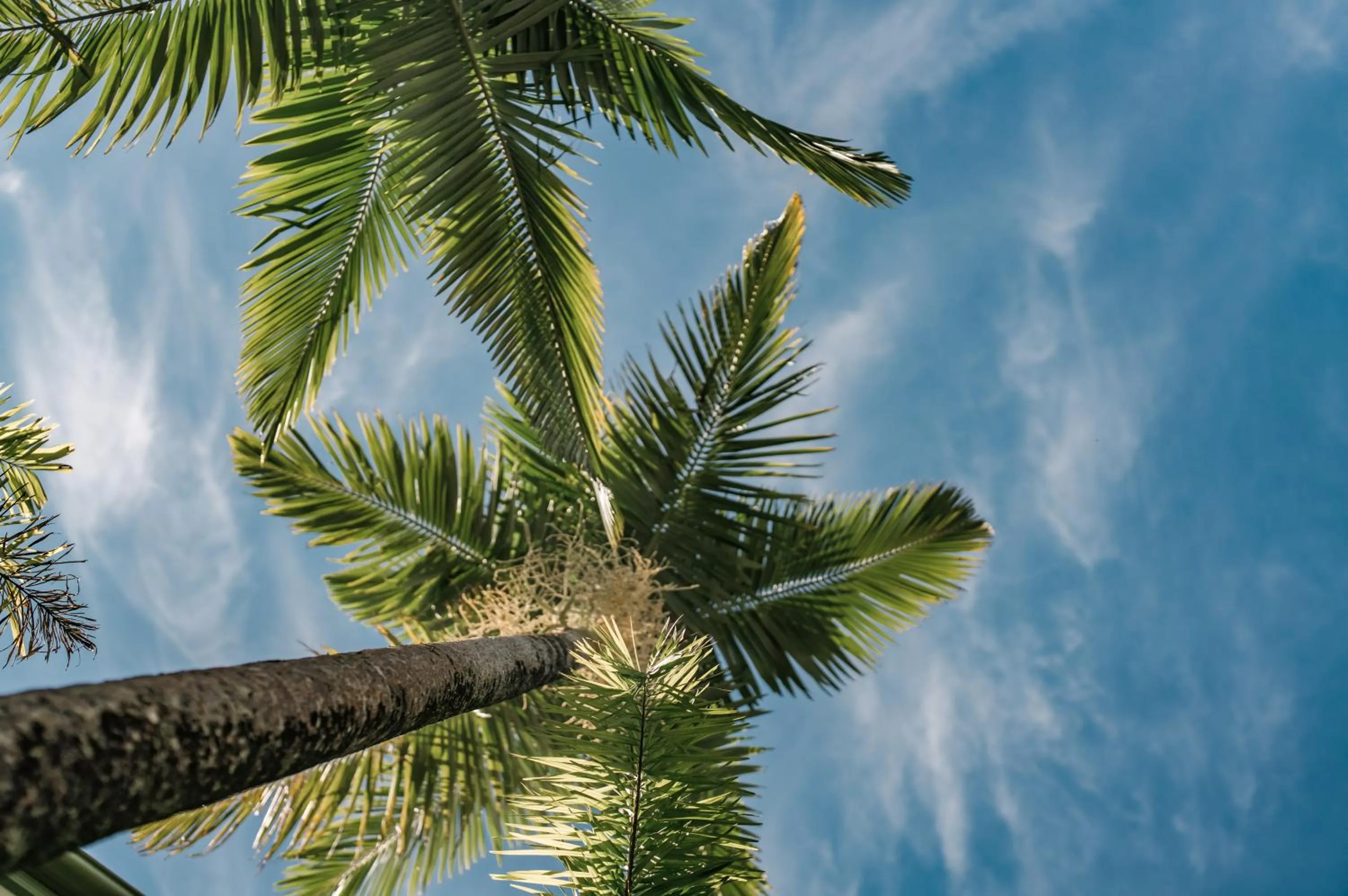 The Lookout Resort Noosa