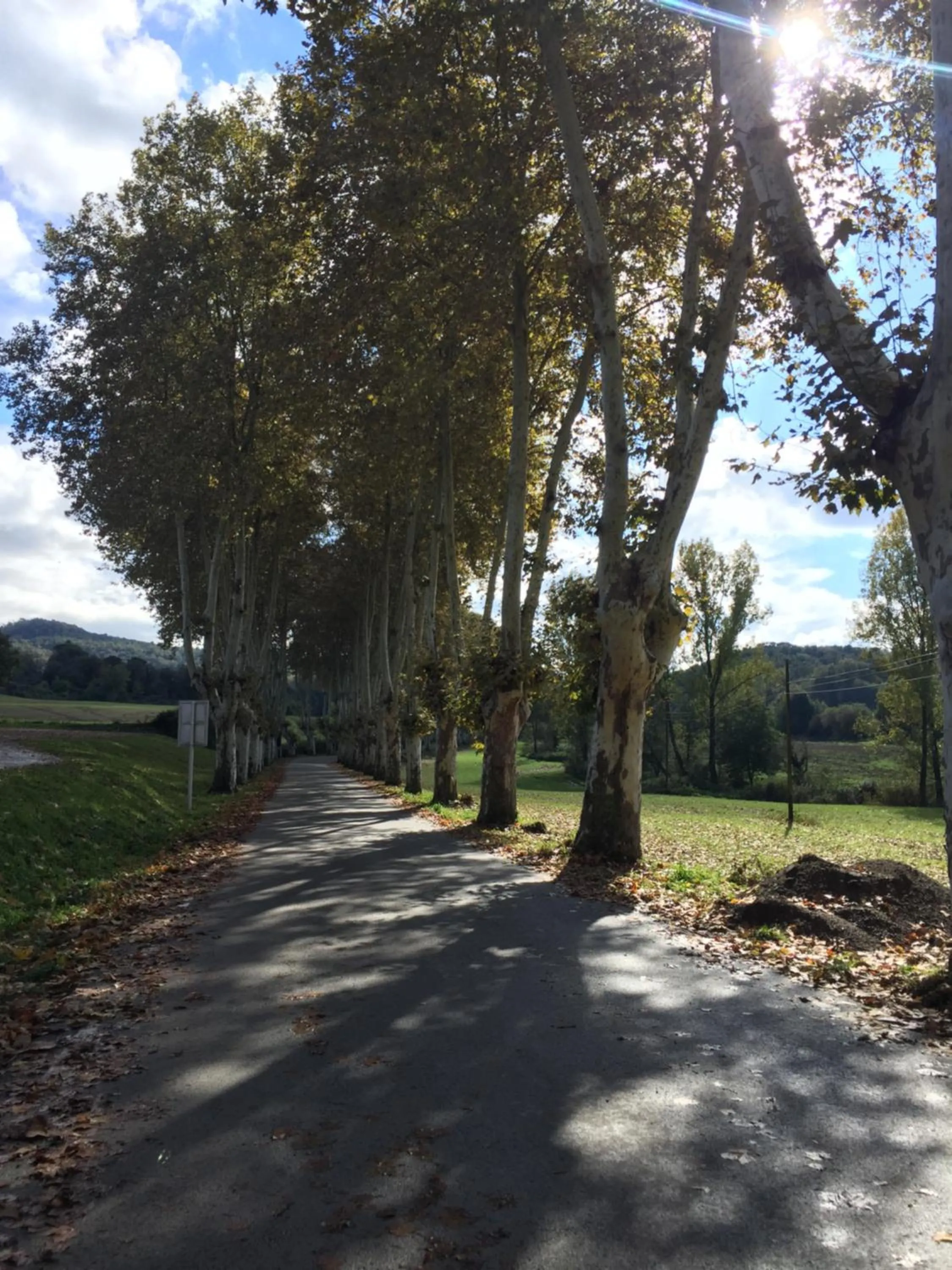 Natural landscape in Escloper B&B