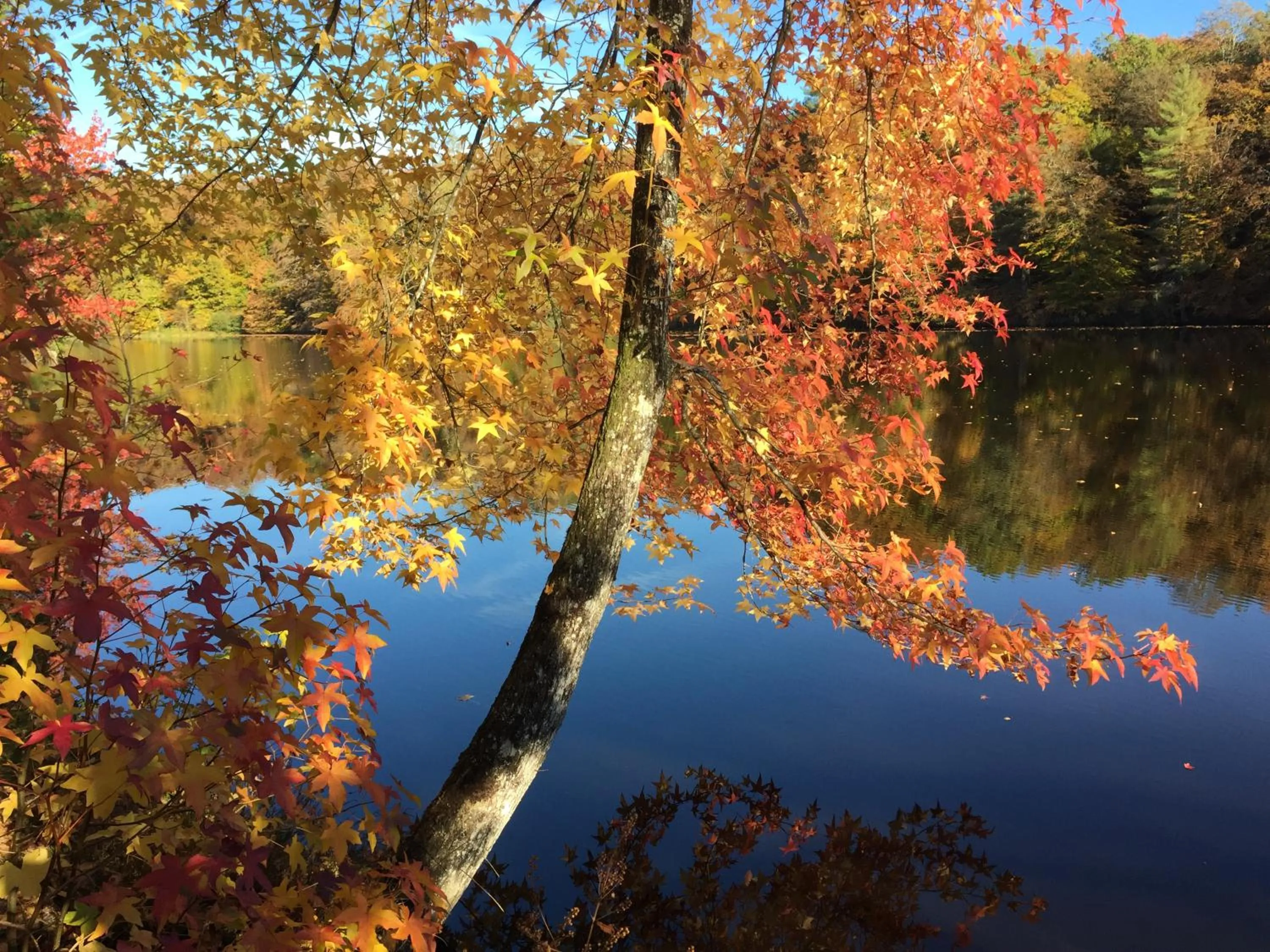 Property building in Domaine de Bort