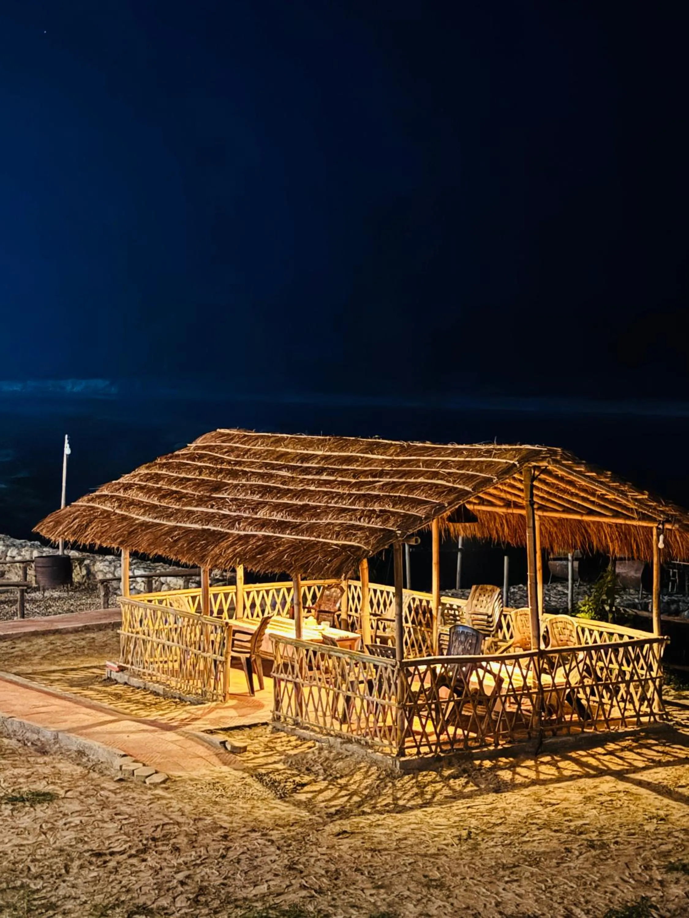 Jungle Wildlife Camp