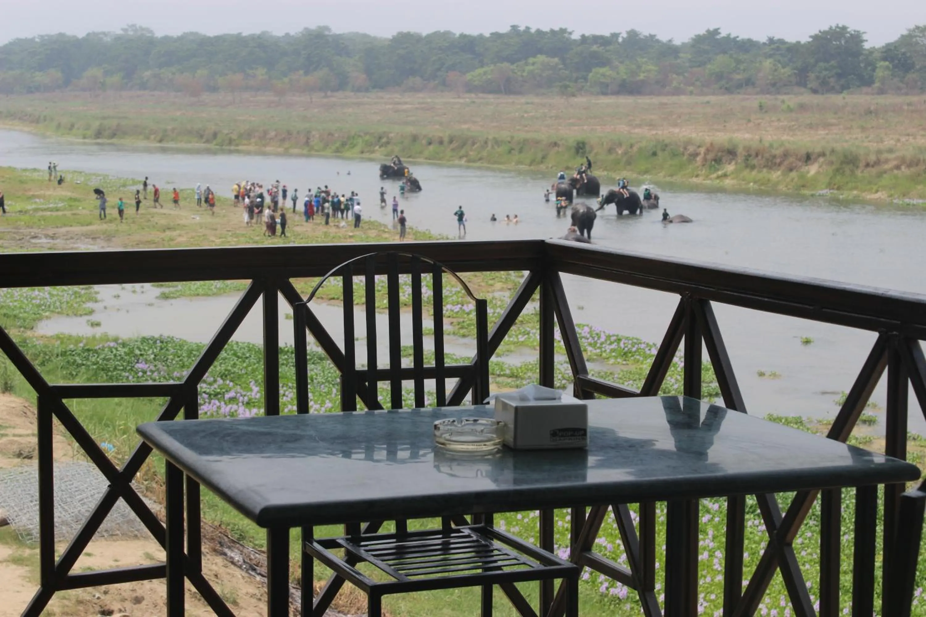 Jungle Wildlife Camp