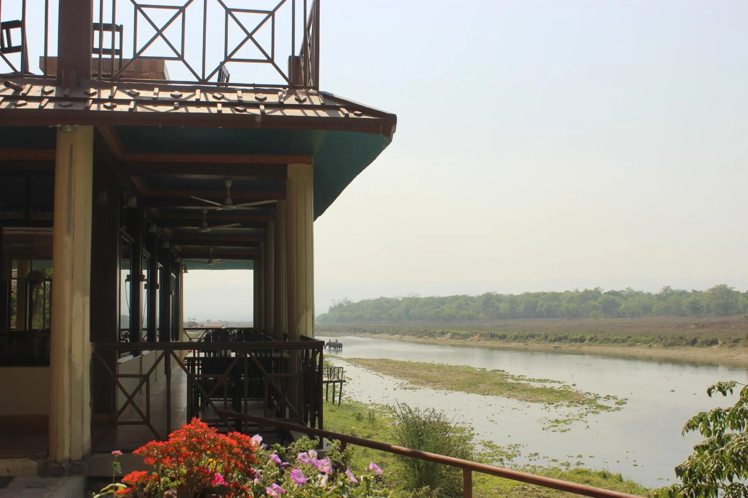 Jungle Wildlife Camp