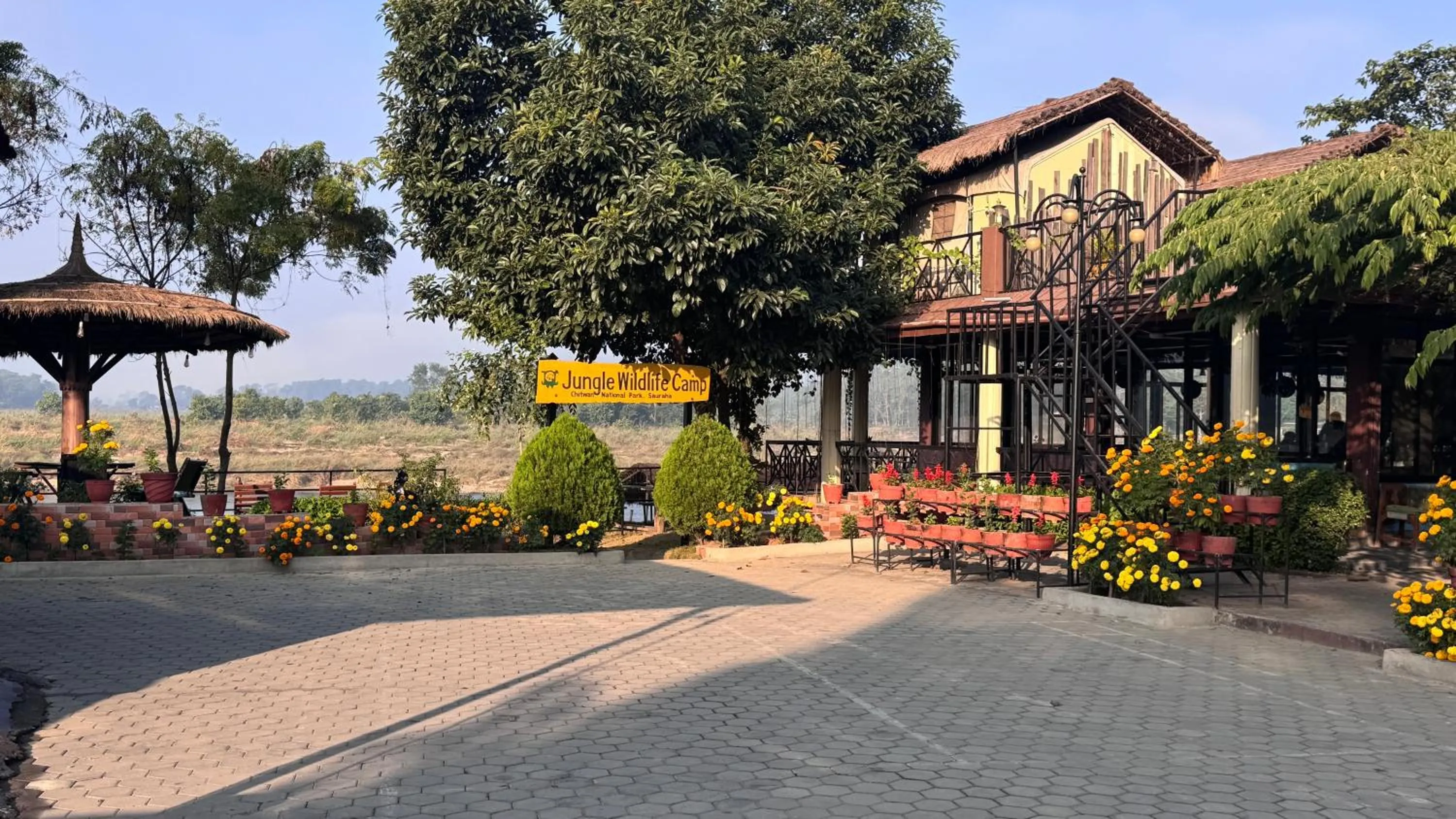 Jungle Wildlife Camp