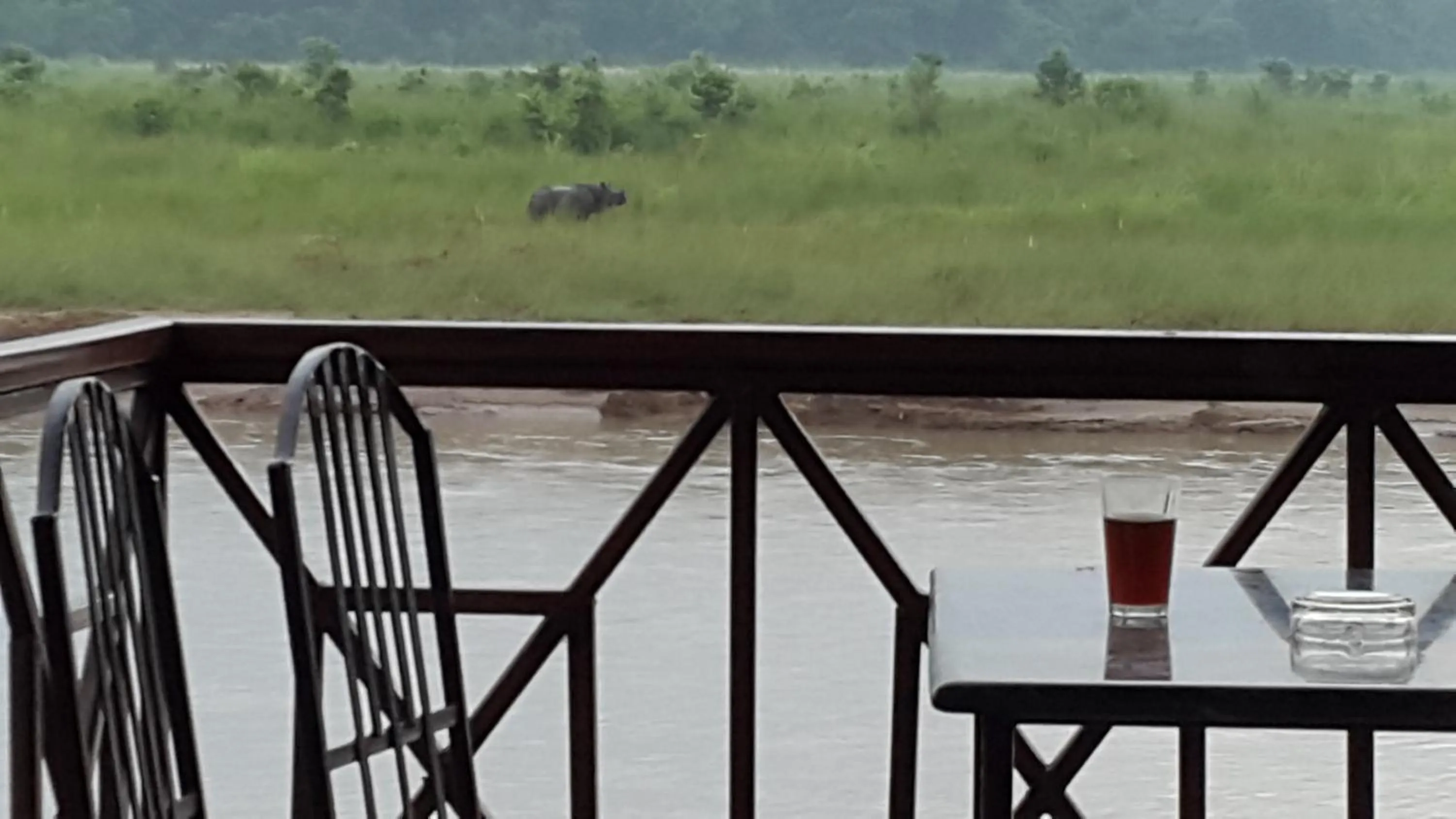 Jungle Wildlife Camp