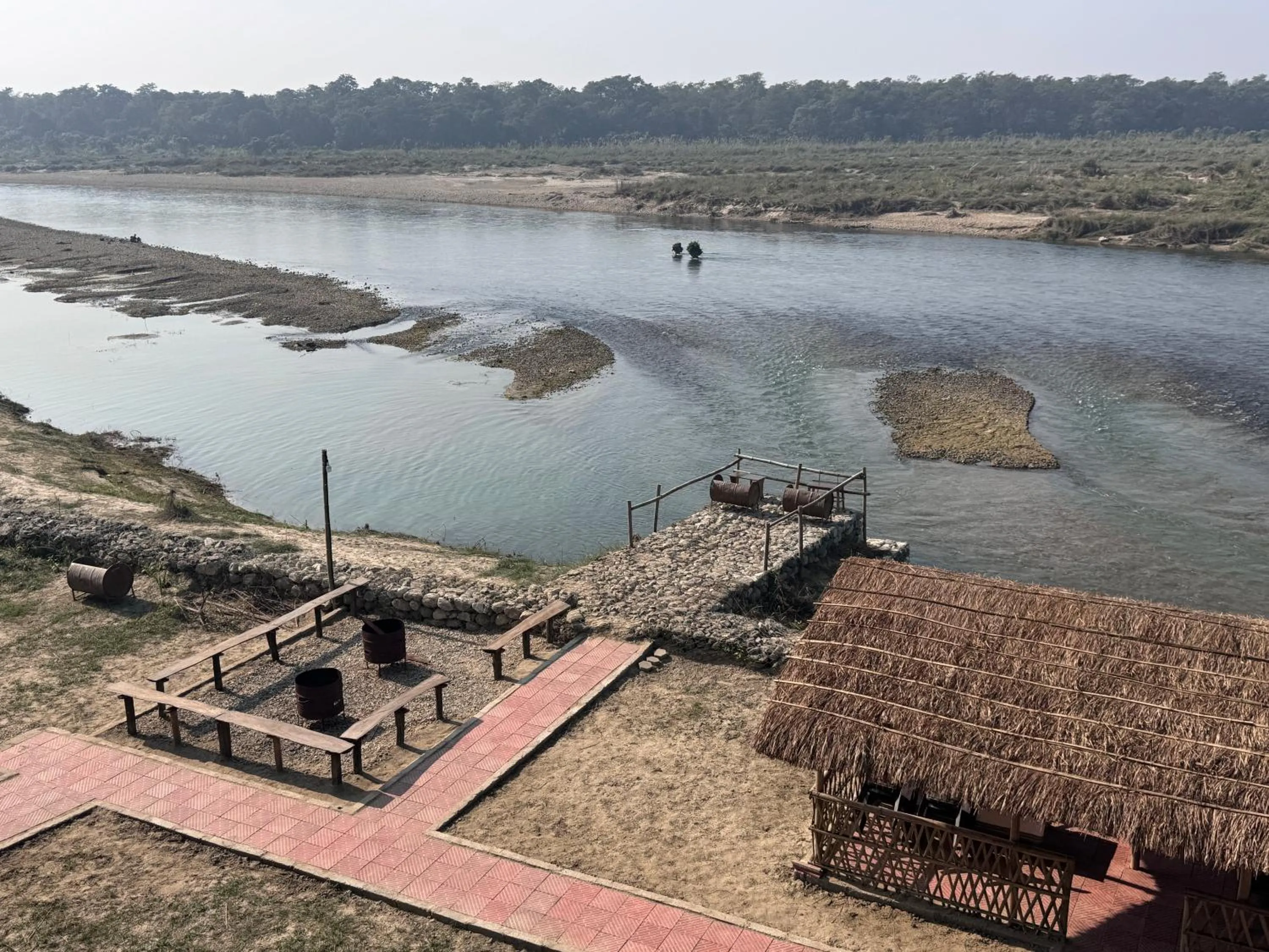 Jungle Wildlife Camp