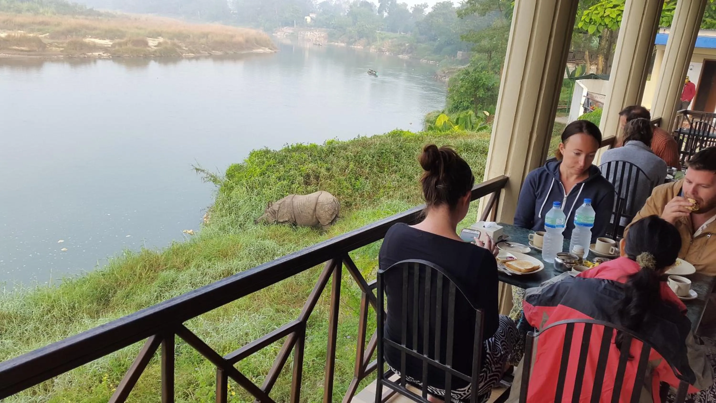 Jungle Wildlife Camp