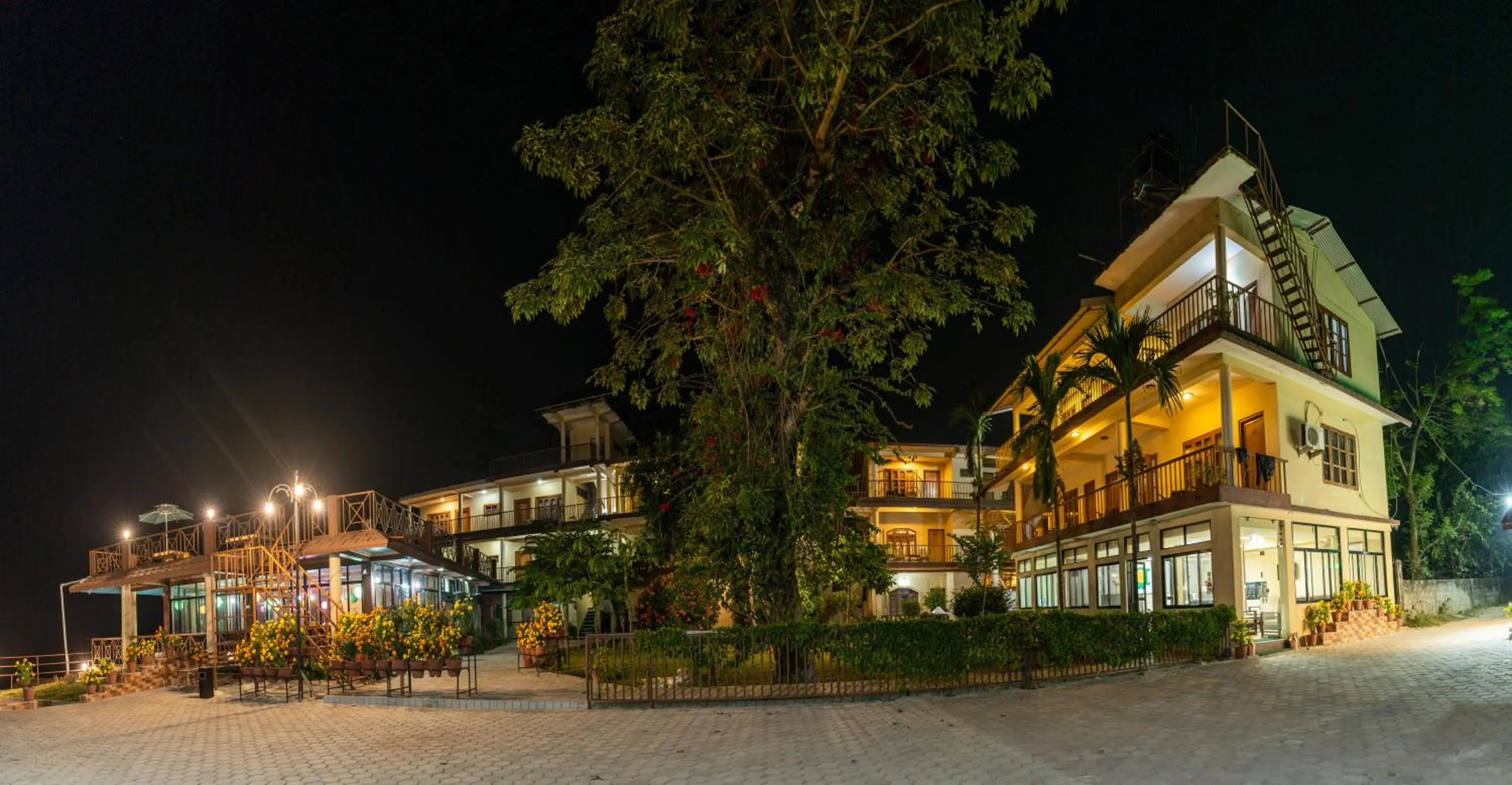 Jungle Wildlife Camp