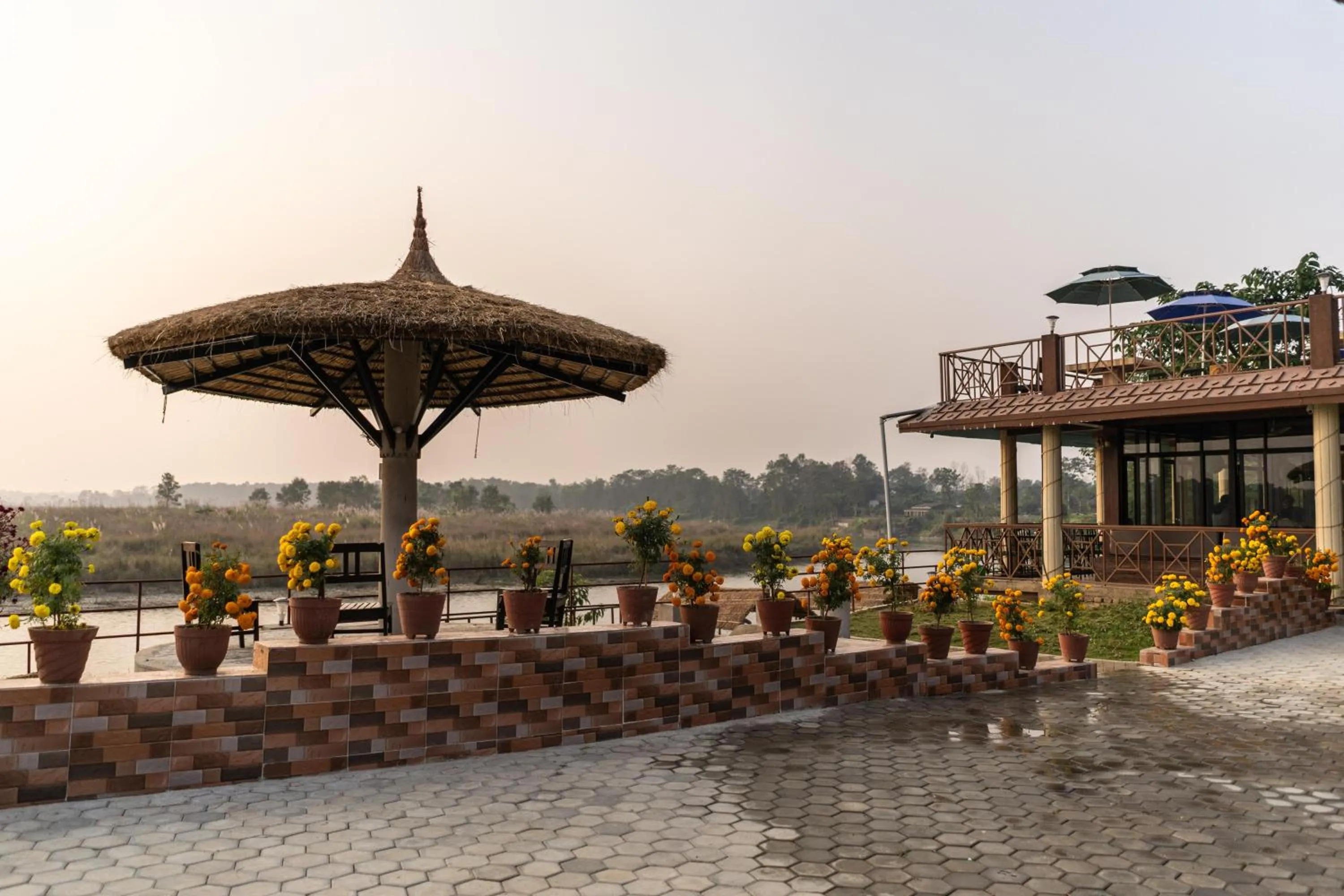 Jungle Wildlife Camp