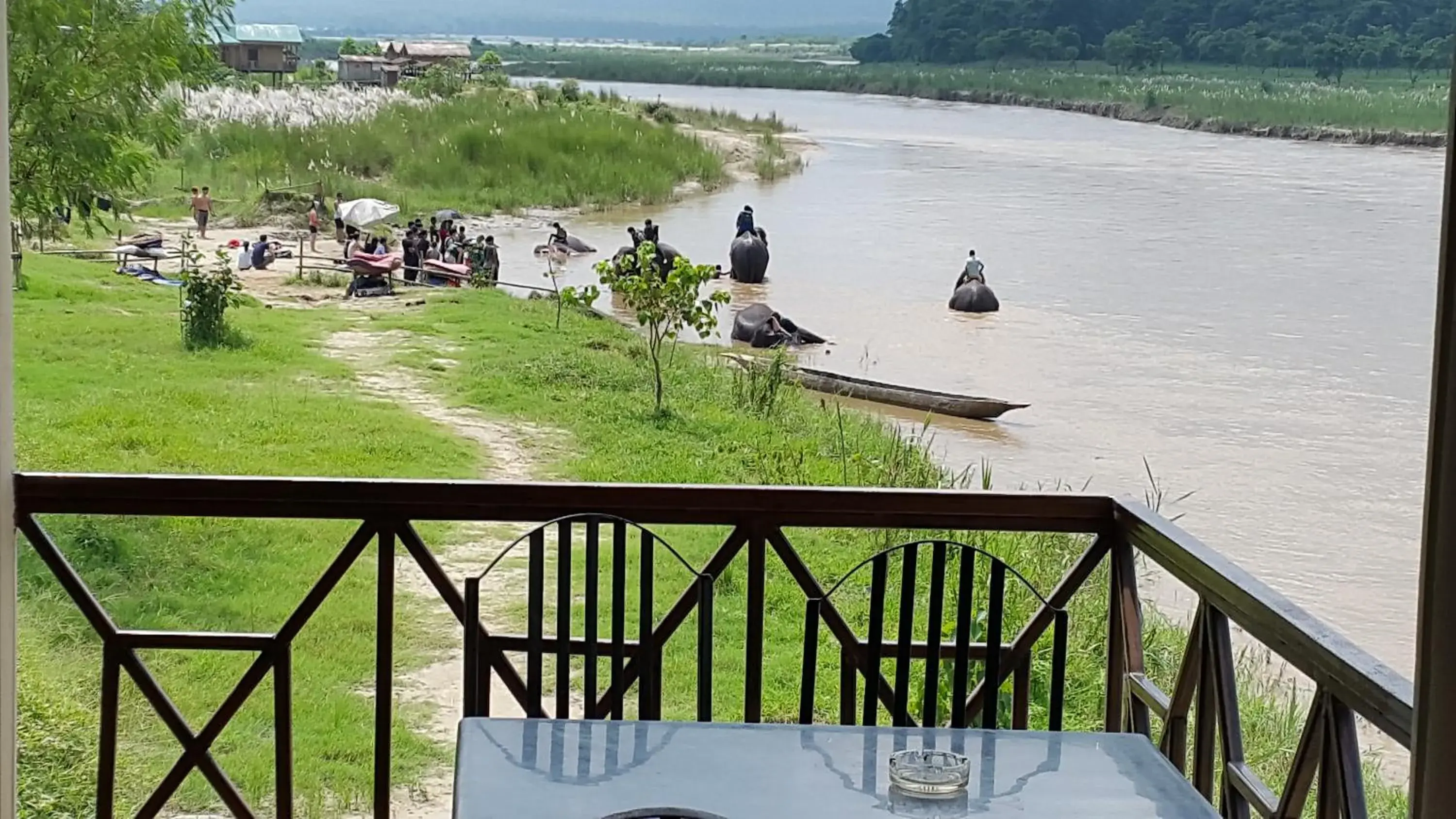 Standard Double or Twin Room in Jungle Wildlife Camp Standard Double or Twin Room in Jungle Wildlife Camp