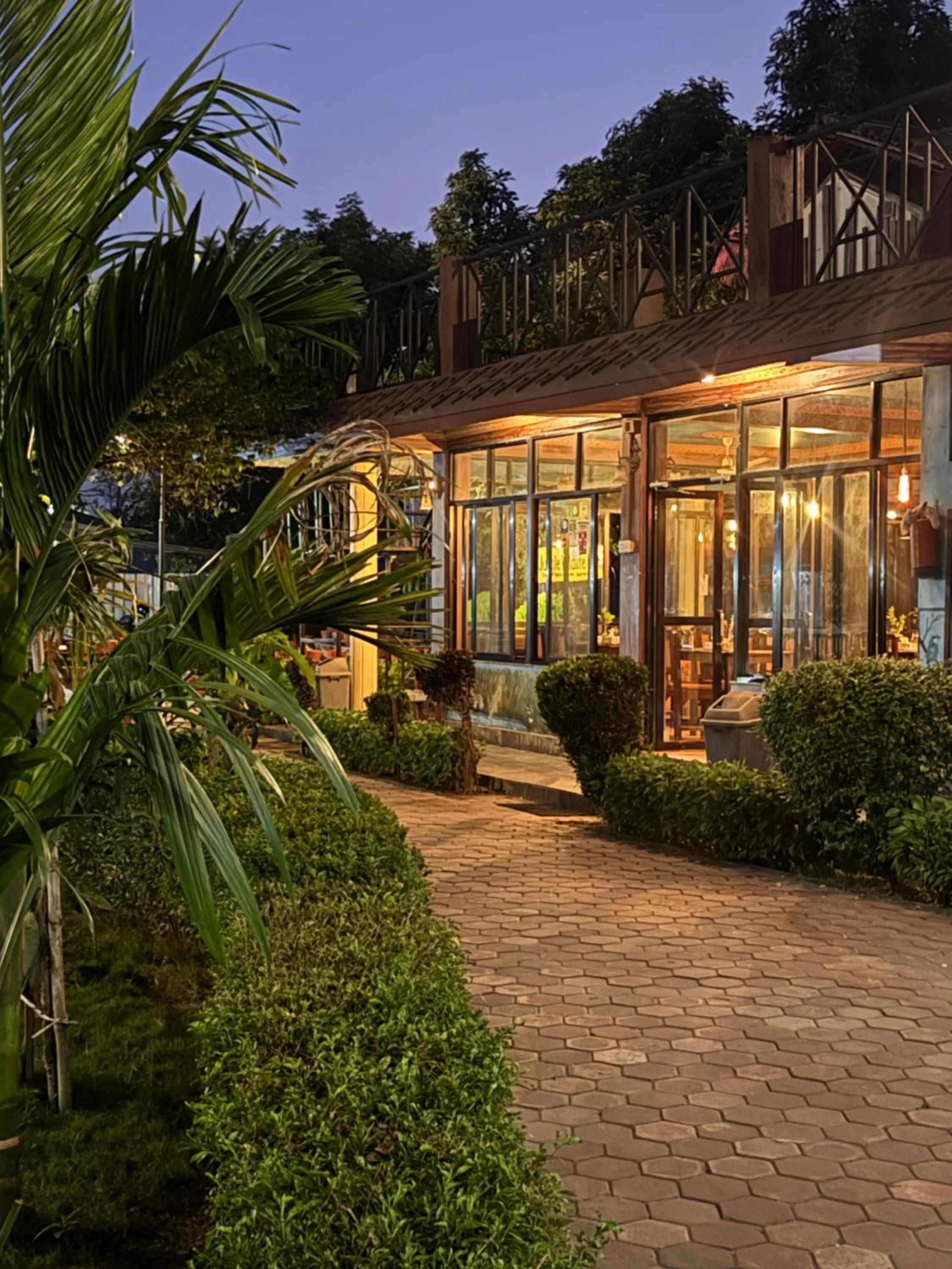 Jungle Wildlife Camp