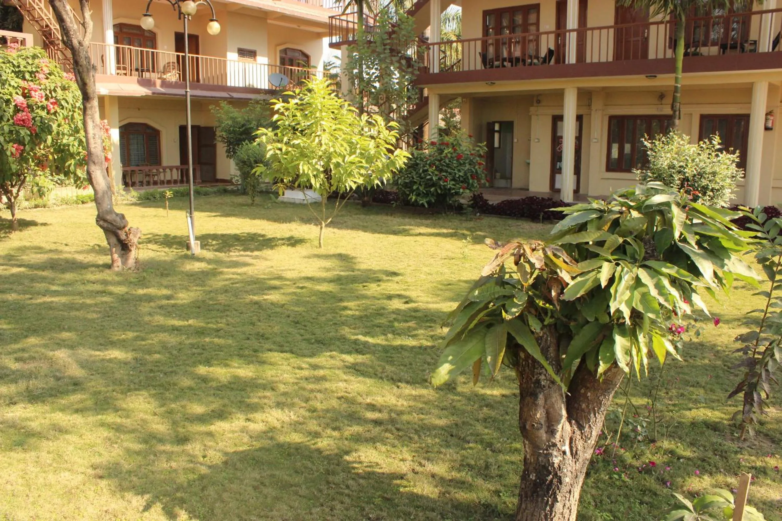 Jungle Wildlife Camp