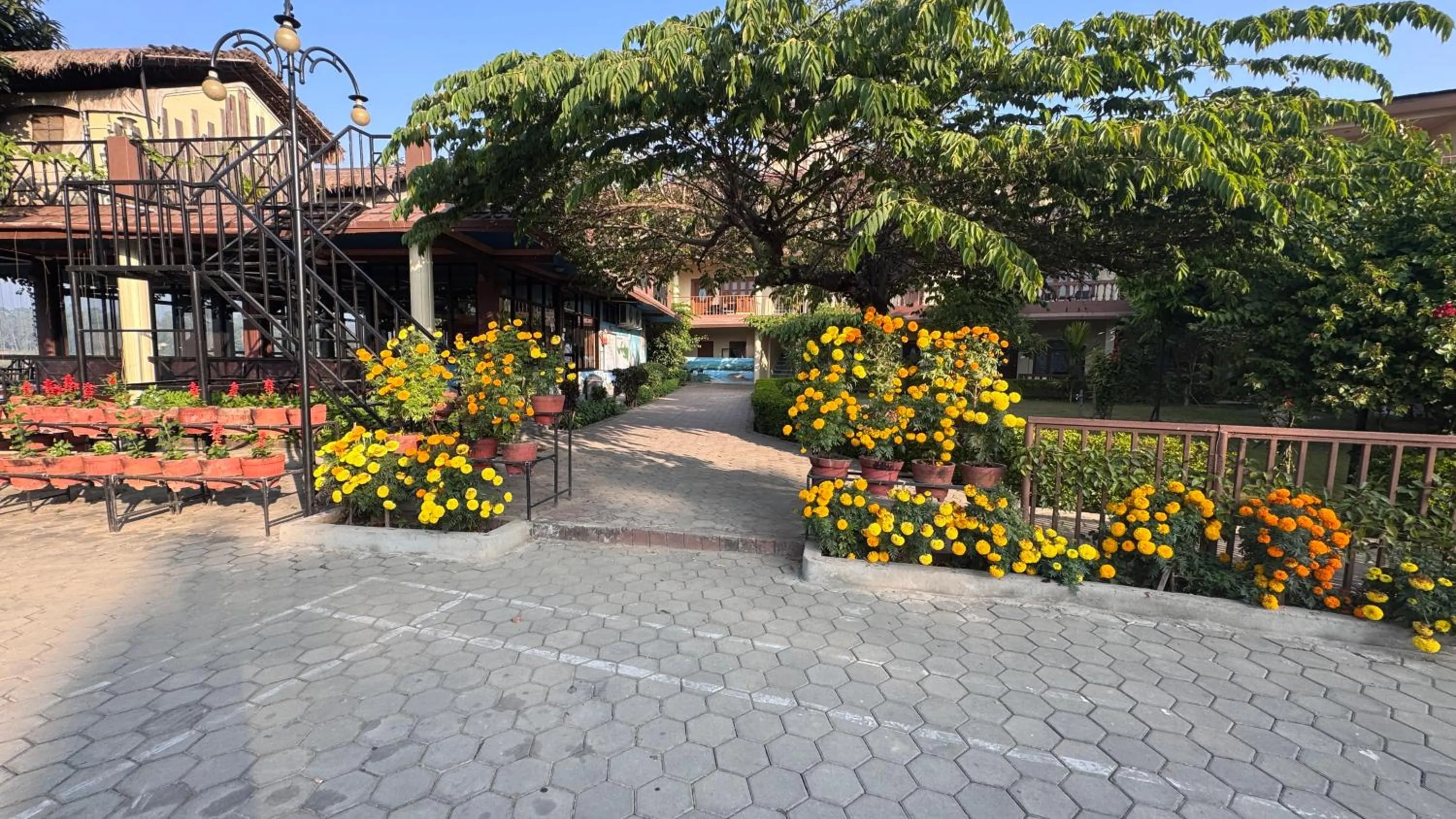 Jungle Wildlife Camp